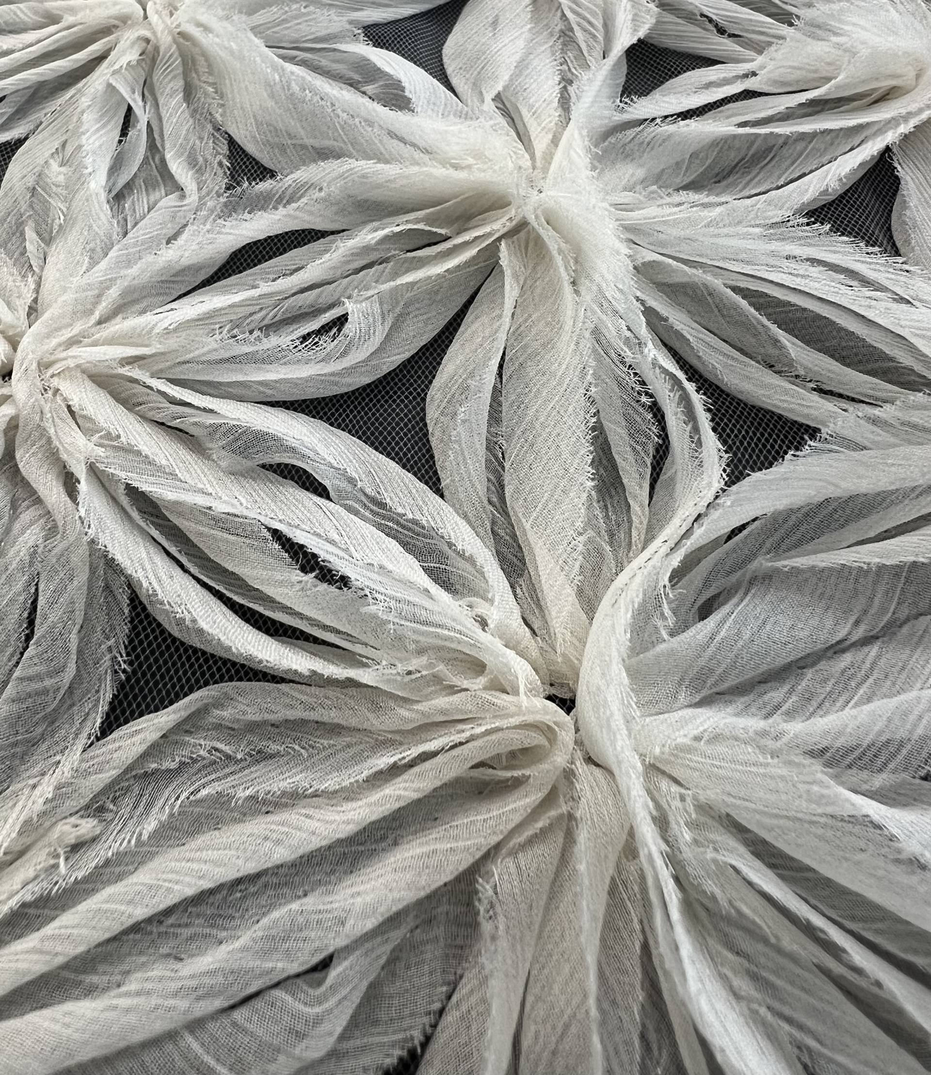Chiffon Ribbon Embroidered Tulle in Ecru