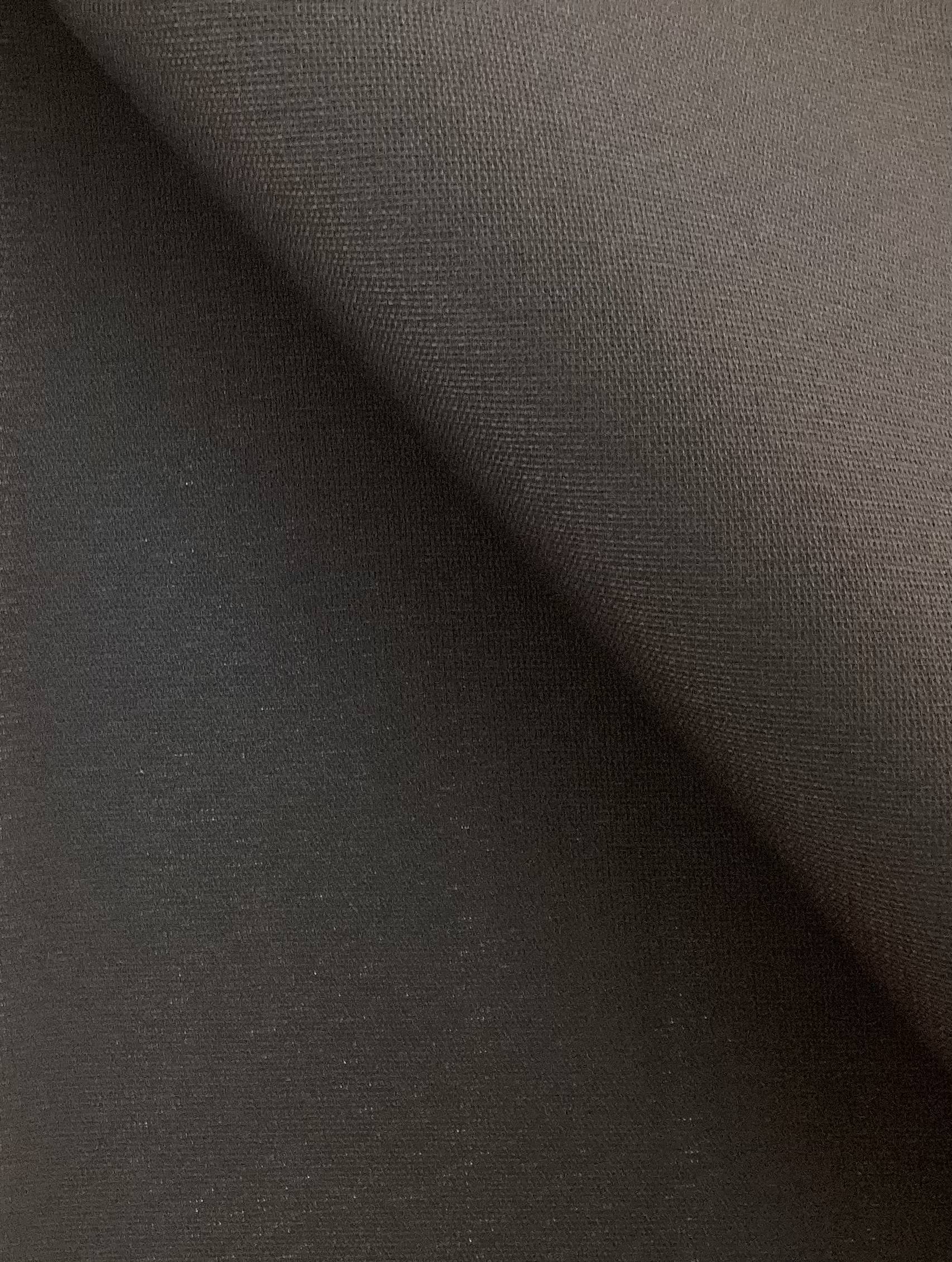 Silk Gazar in Black