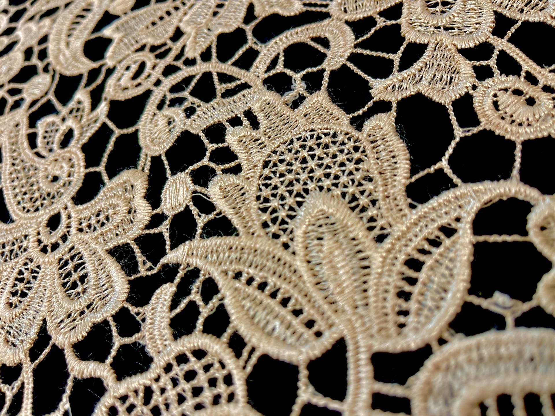 Single Scallop Guipure Lace in Beige, GL168/1221.