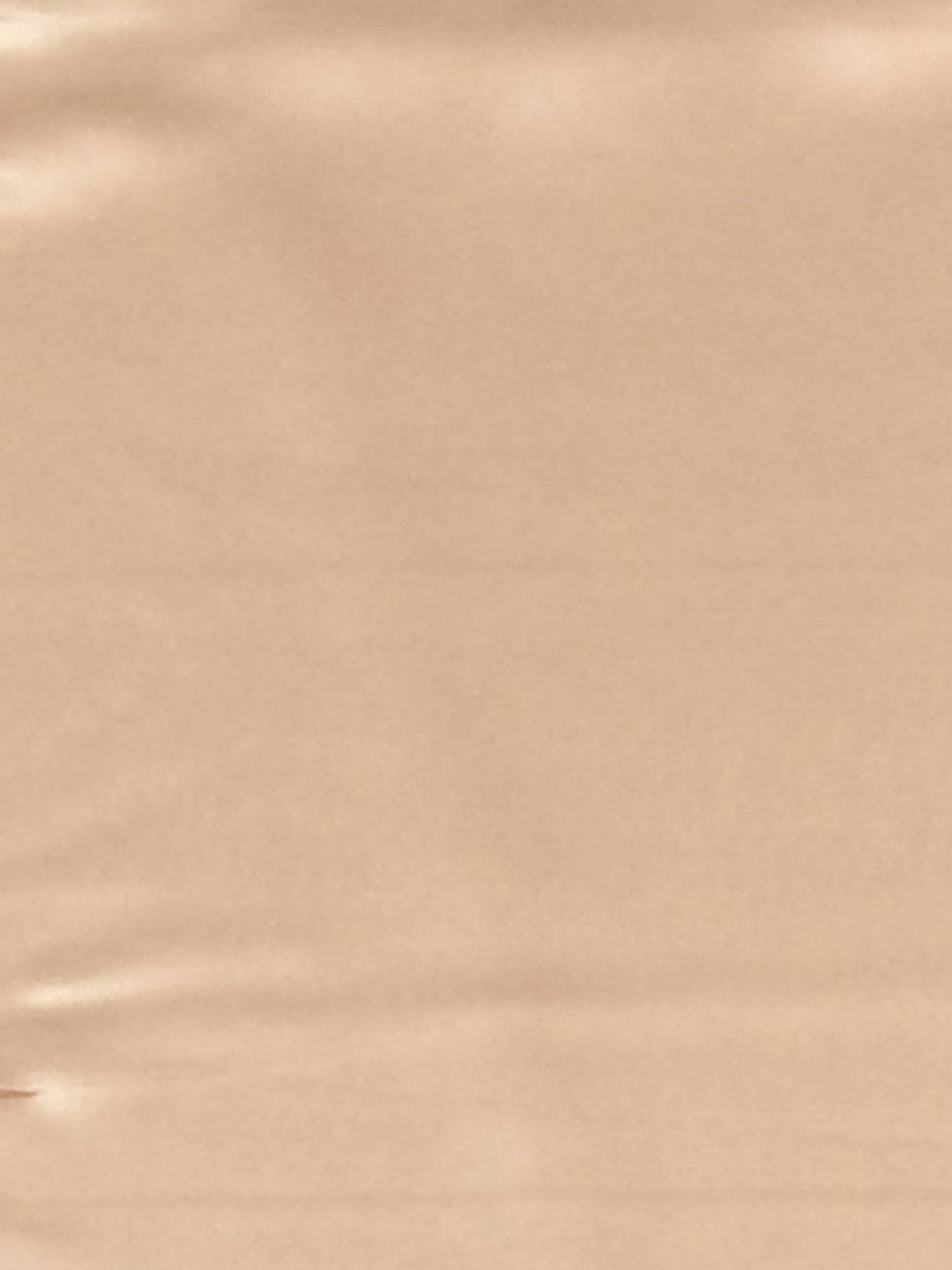 Pure Silk Charmeuse in Champagne