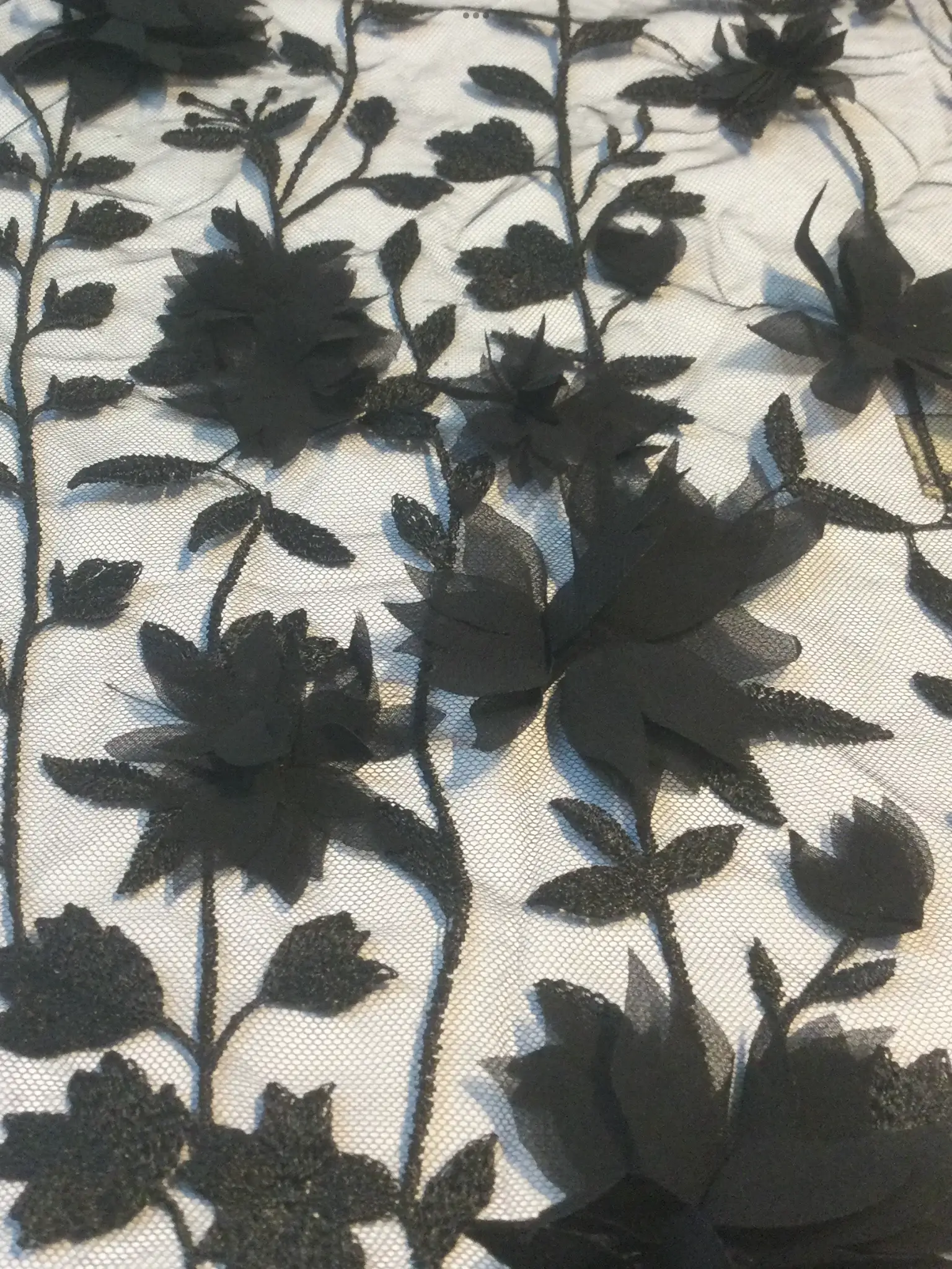 Embroidered Illusion with Applique' in Black