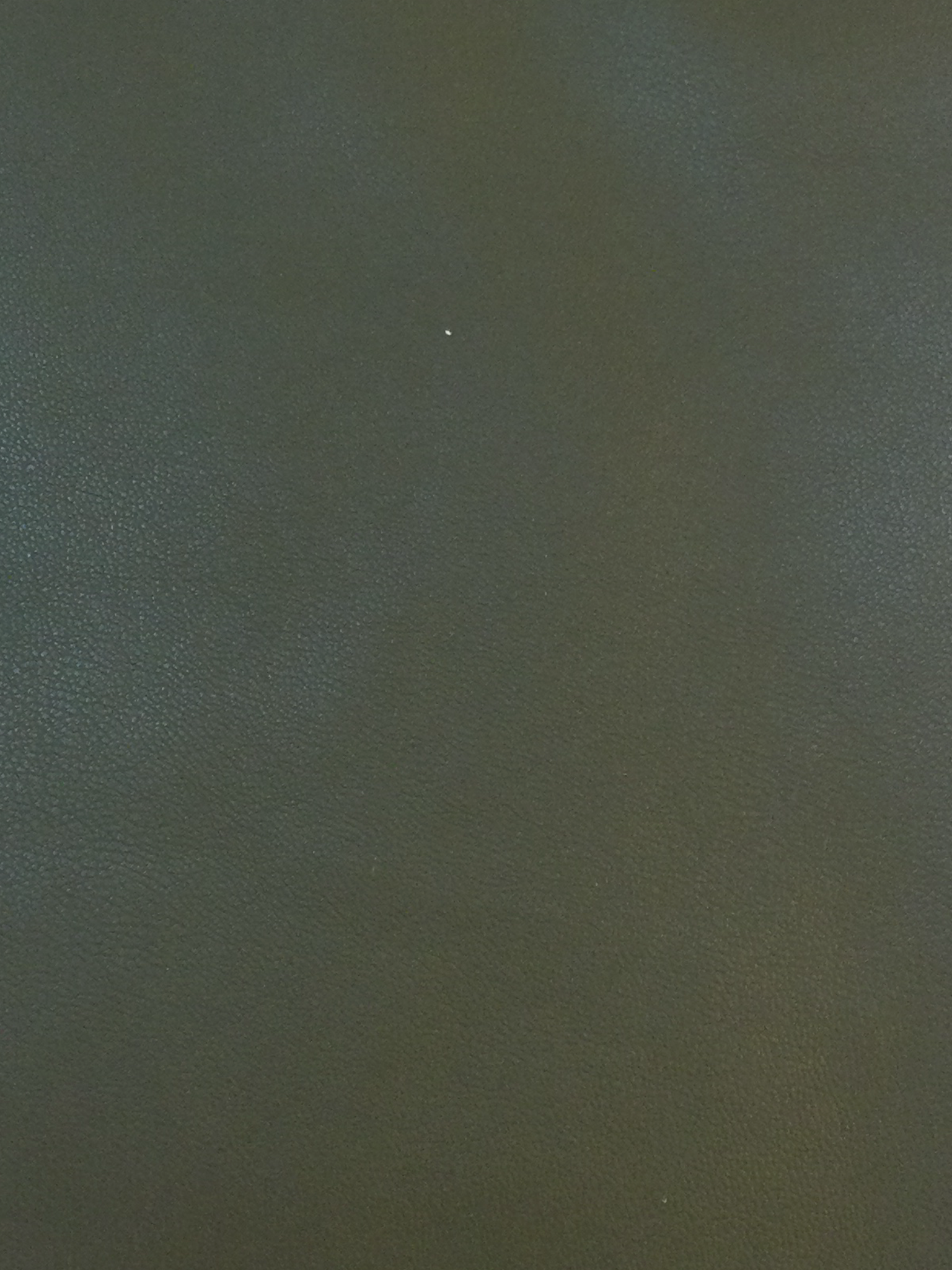 Stretch Faux Leater in Light Olive