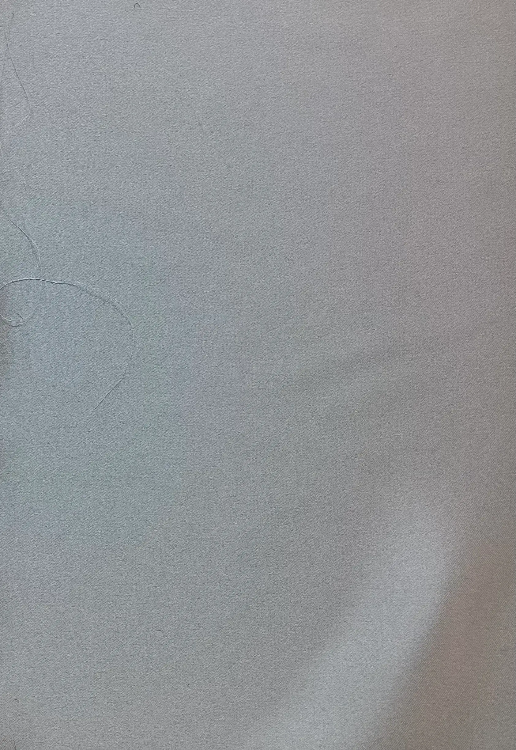 Pure Silk Charmeuse in Light Blue