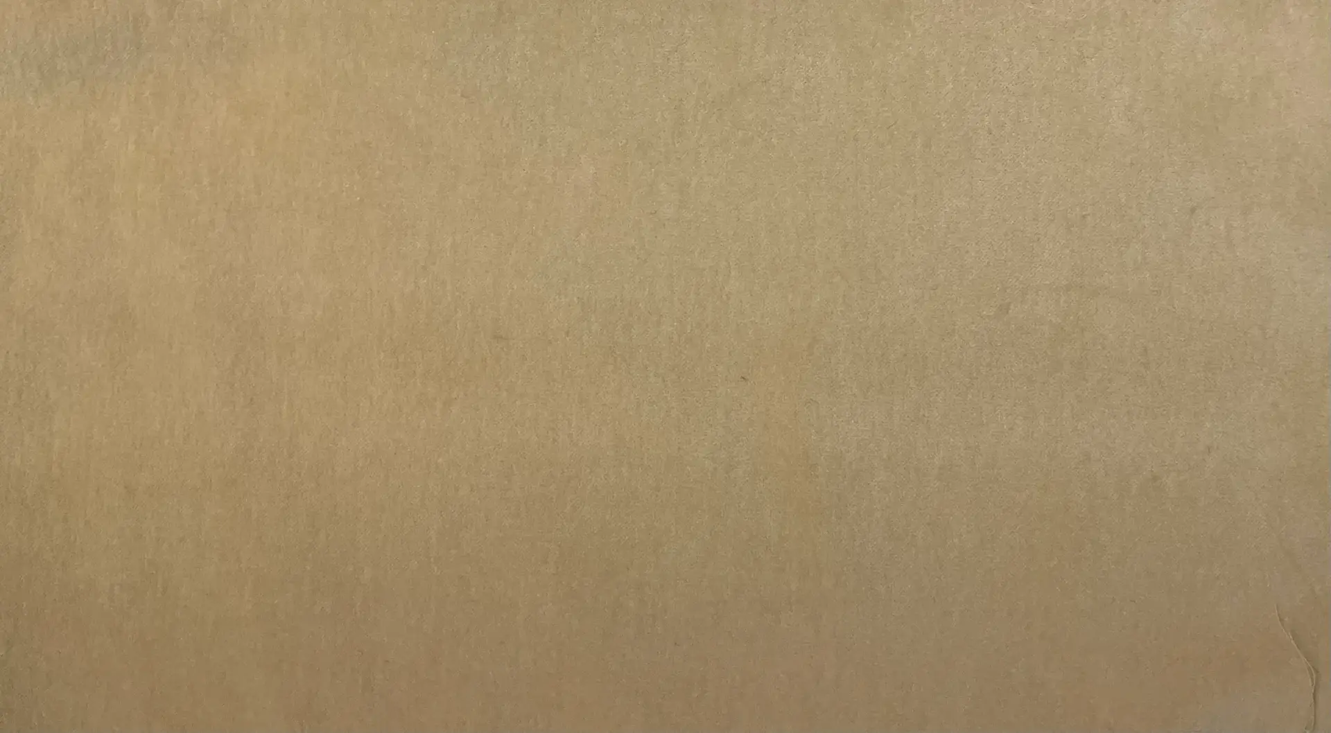 Cotton Velveteen in Eggshell