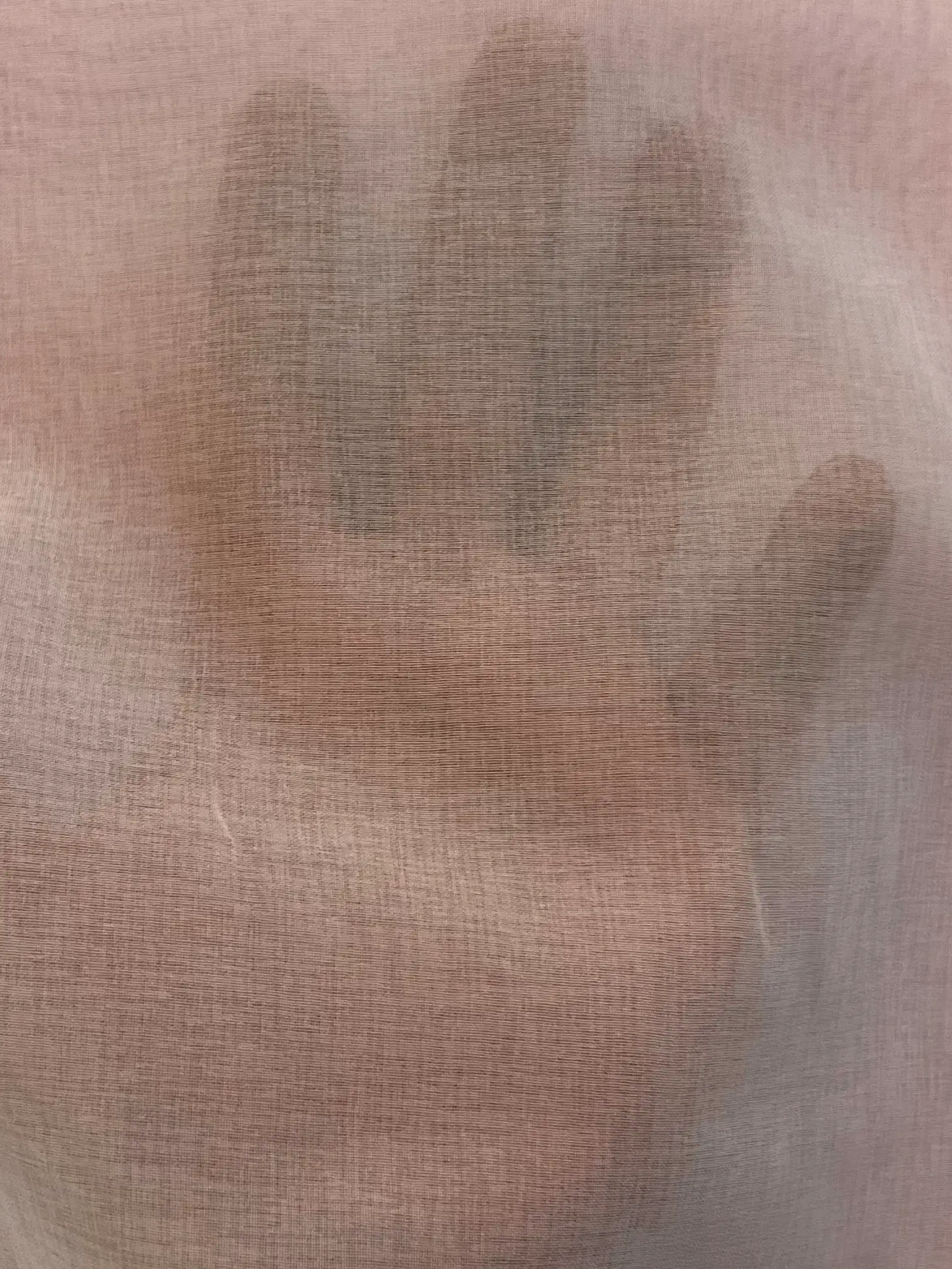 Japanese Polyester Gauze Chiffon in Haze