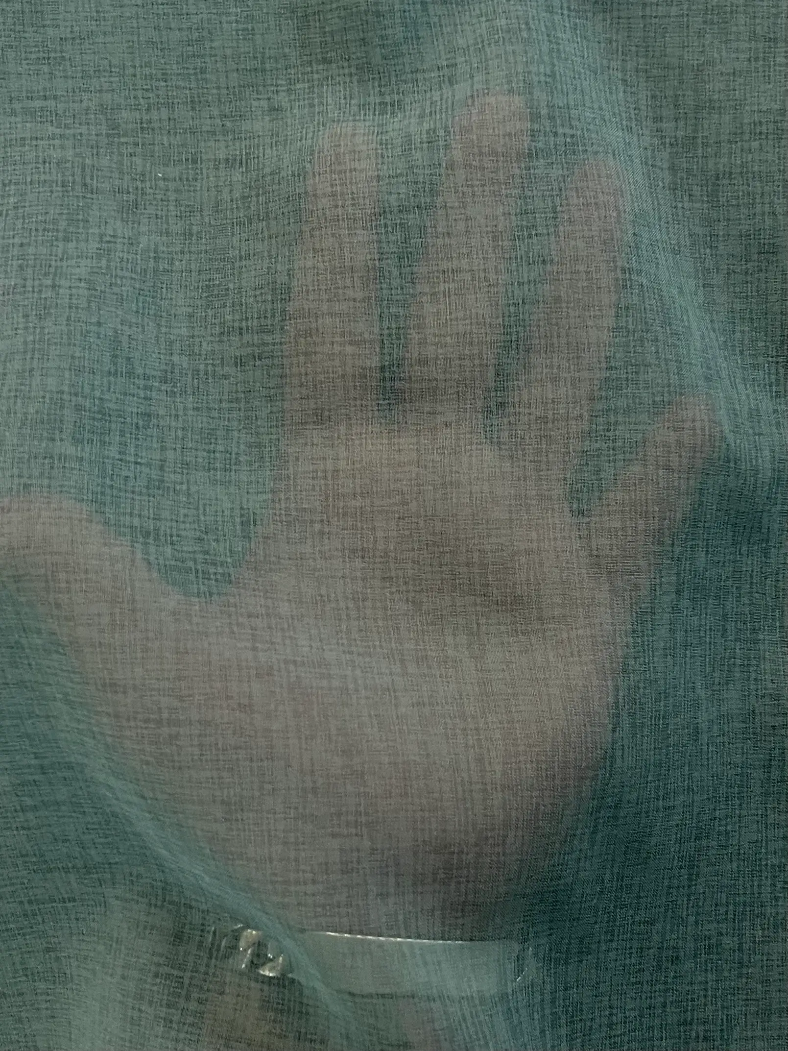 Japanese Polyester Gauze Chiffon in Eucalyptus