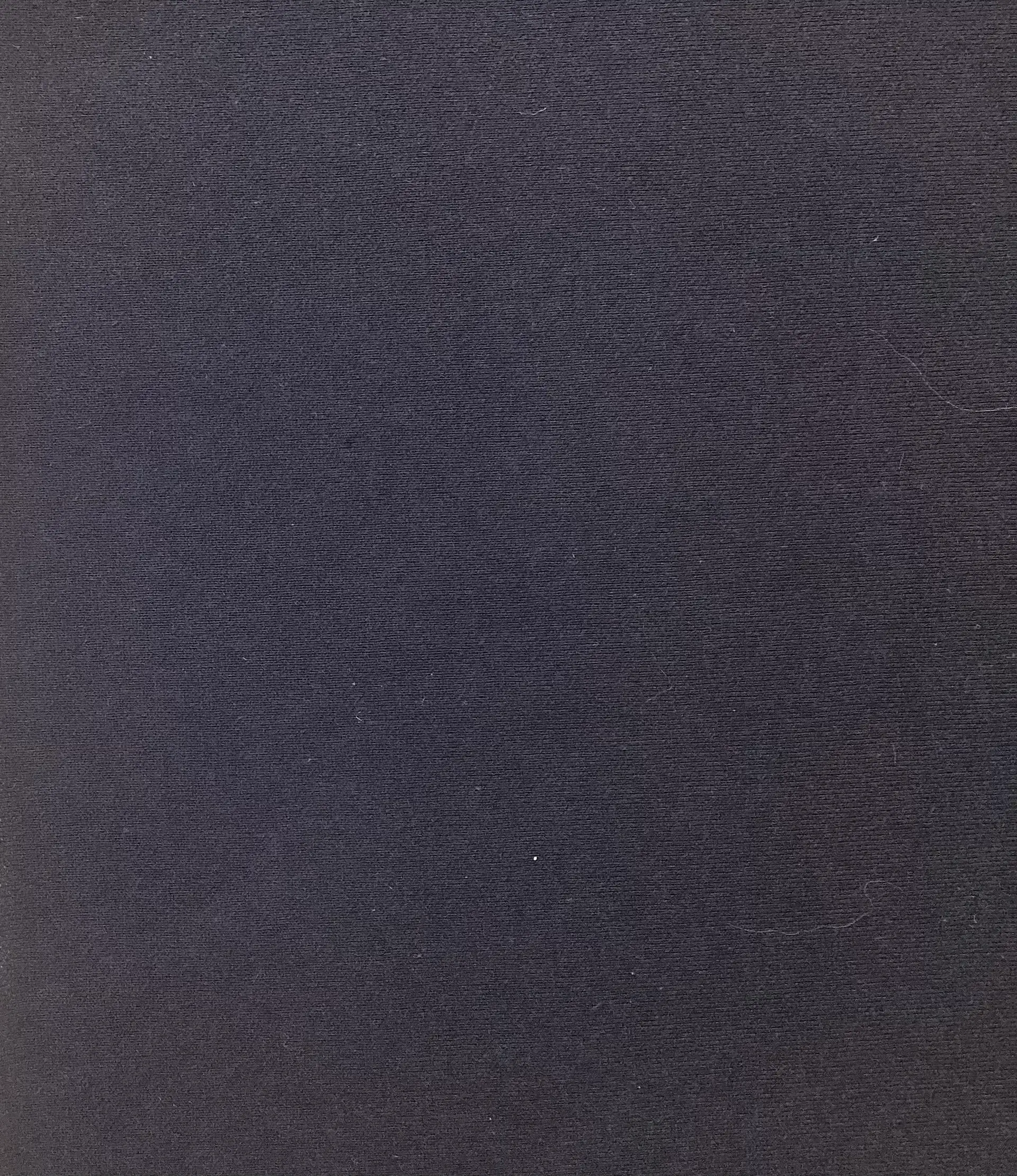 Japanese Cotton French Terry in Navy