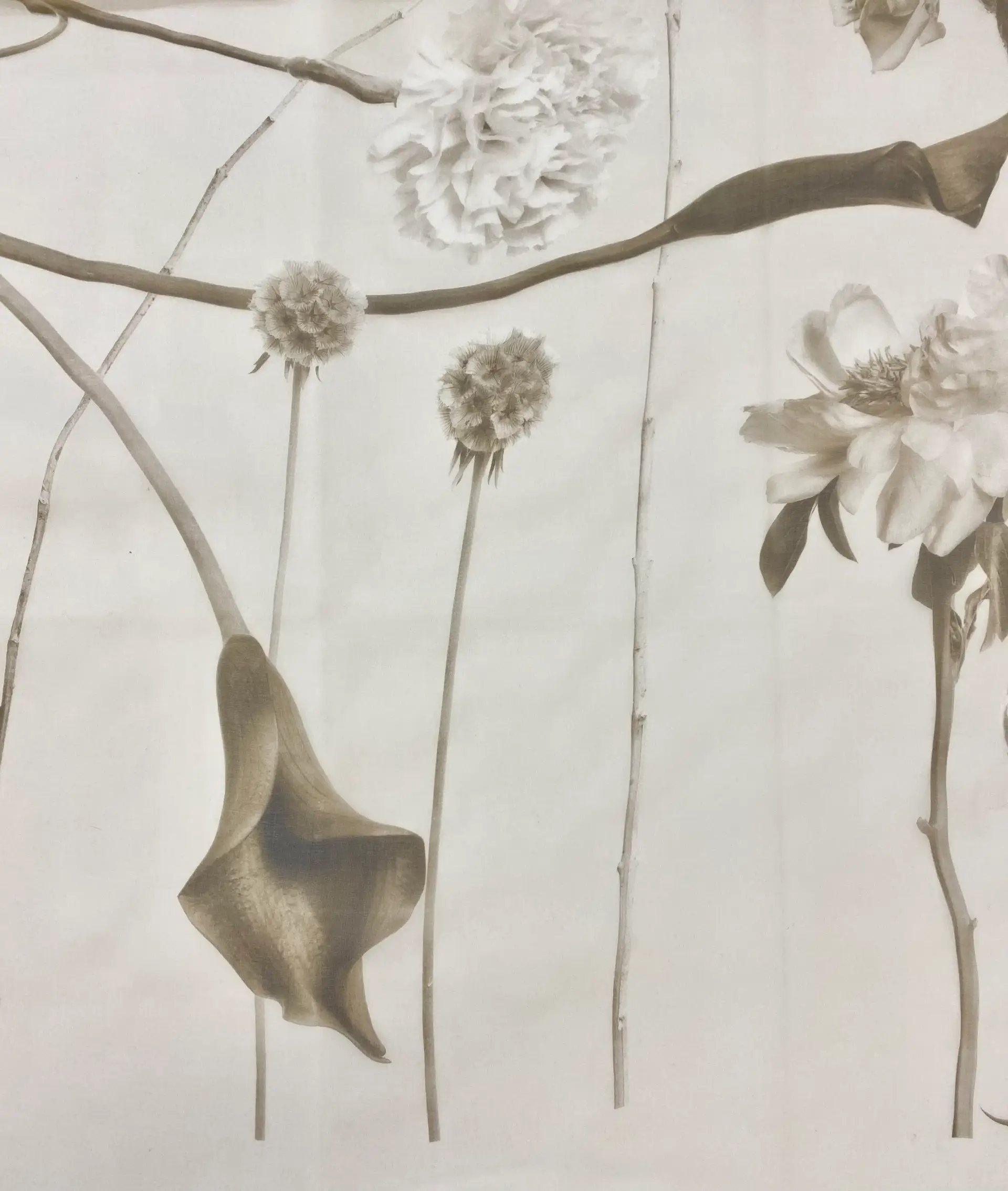 Made in Italy Pure Silk Organza Floral