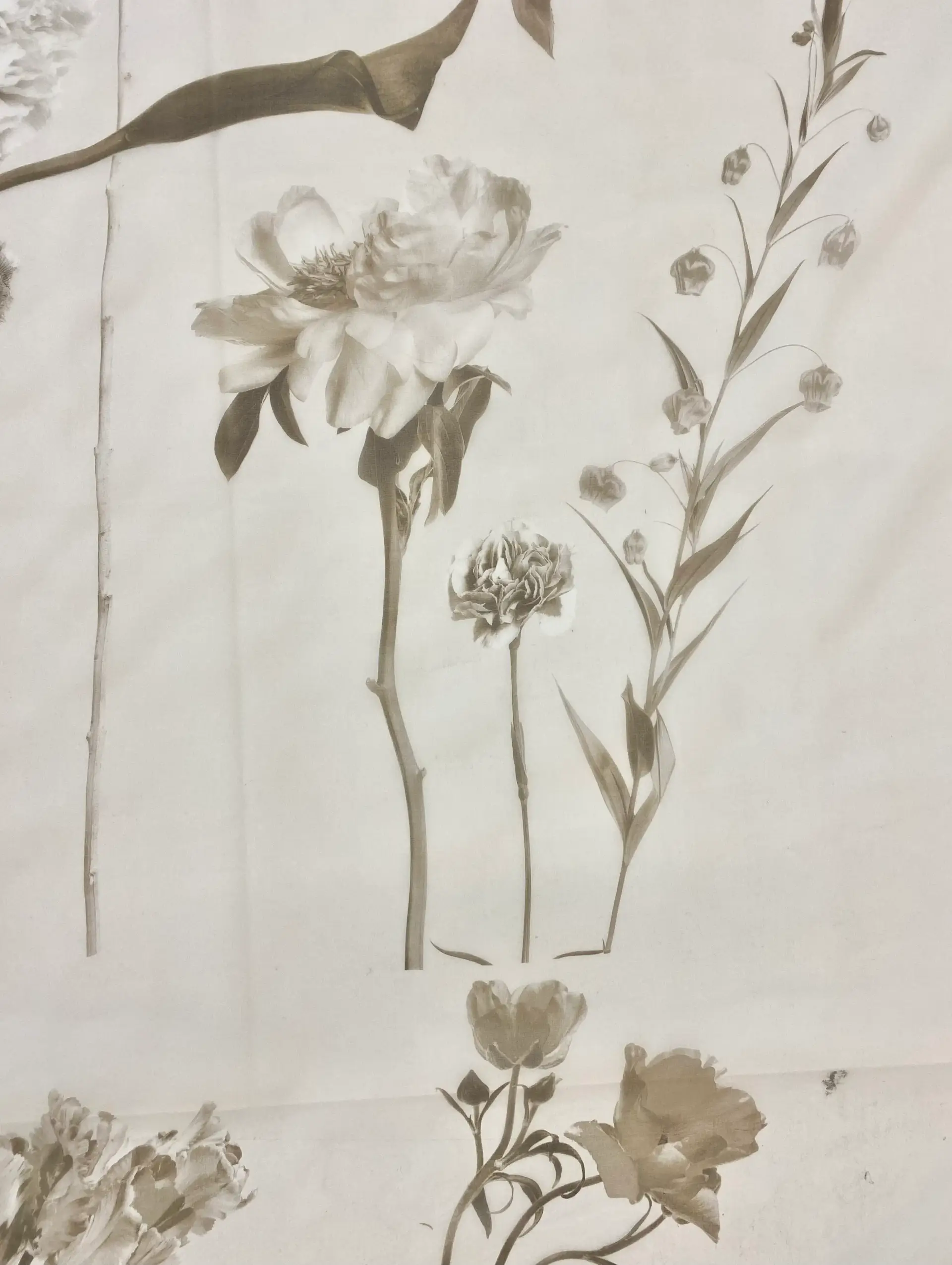 Made in Italy Pure Silk Organza Floral