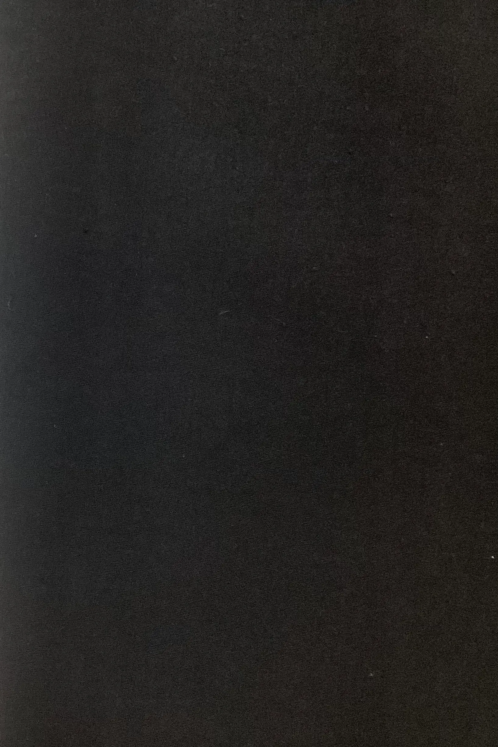 100% Cotton 4 Way Stretch Heavy French Terry Knit In Ebony