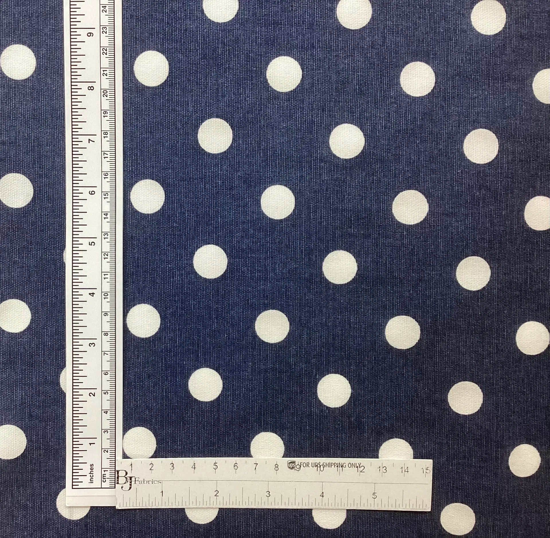 Cotton Canvas Polka Dot in Navy White
