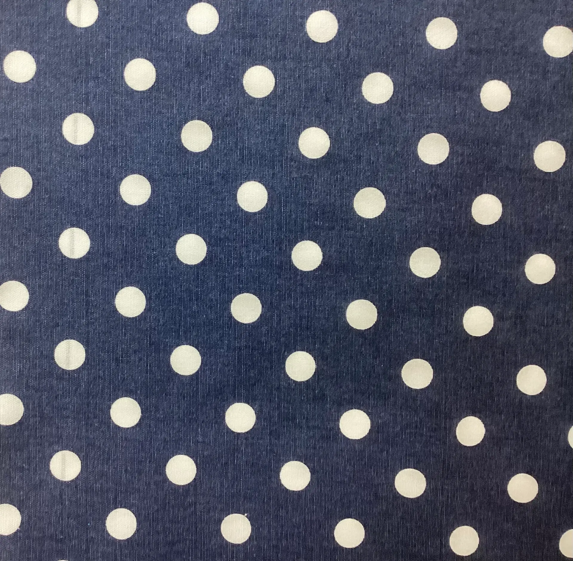 Cotton Canvas Polka Dot in Navy White