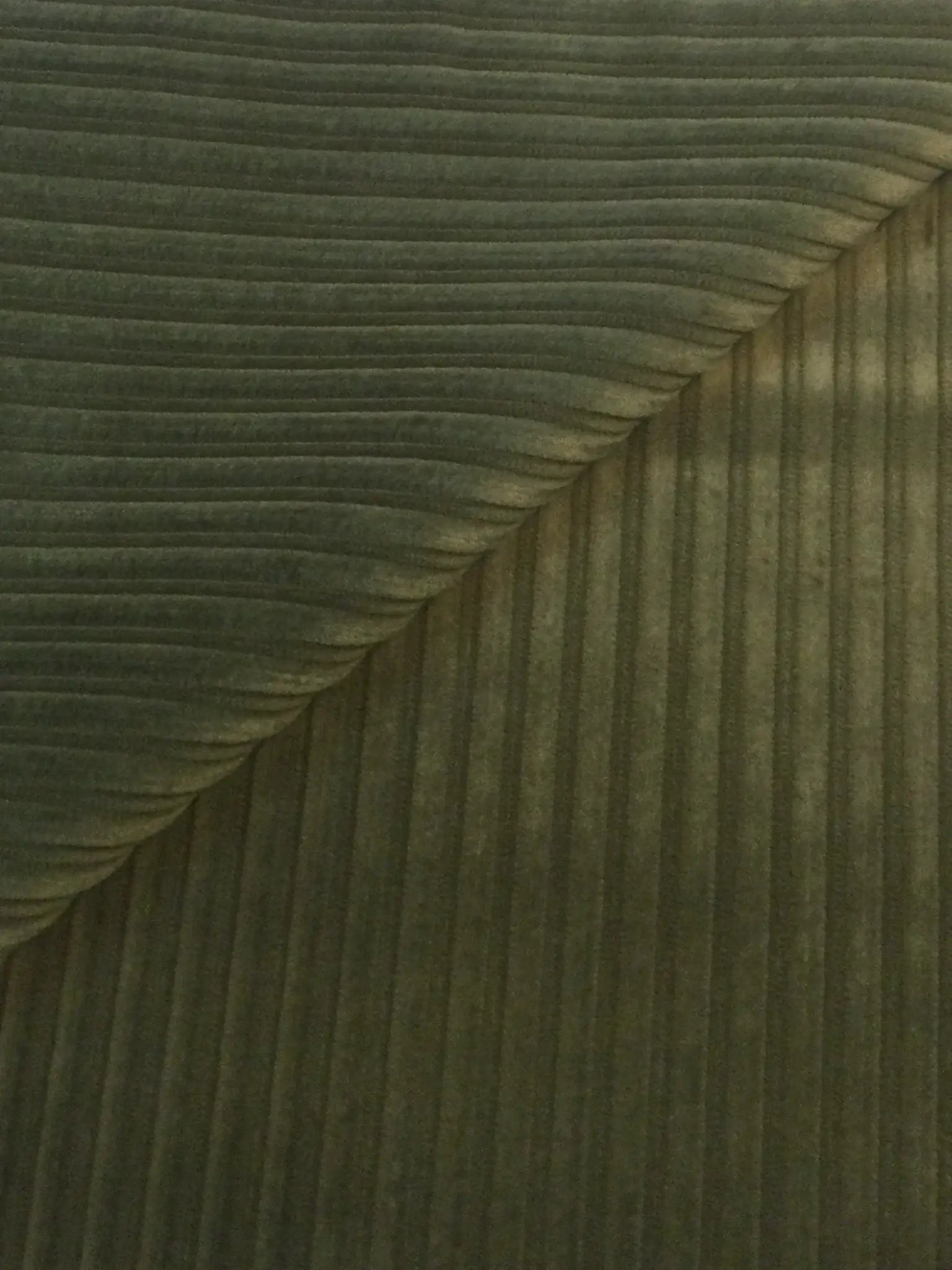 Made in Italy Wide Wale Corduroy in Moss
