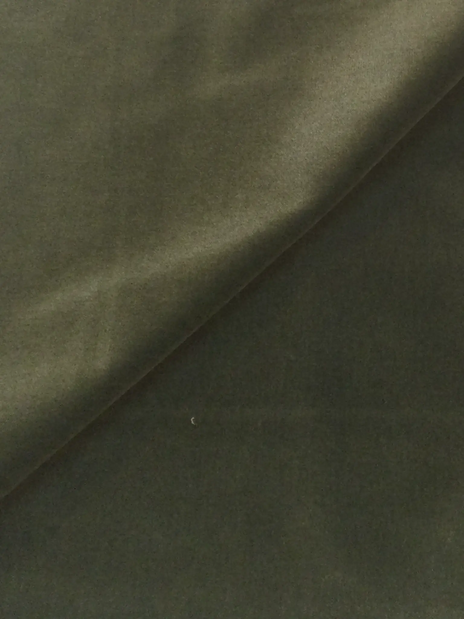 Made in Italy Cotton Velvet in Moss