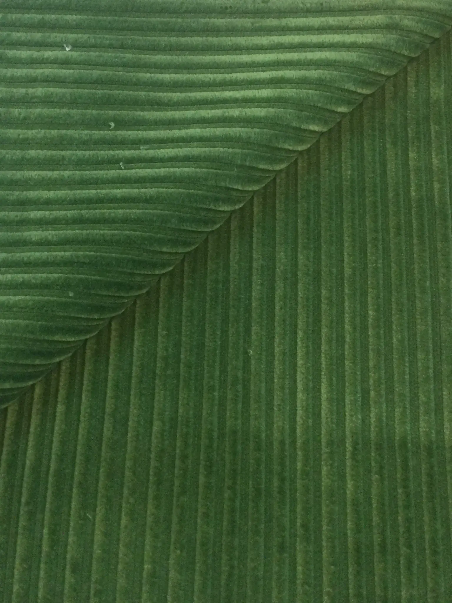 Made in Italy Wide Wale Corduroy