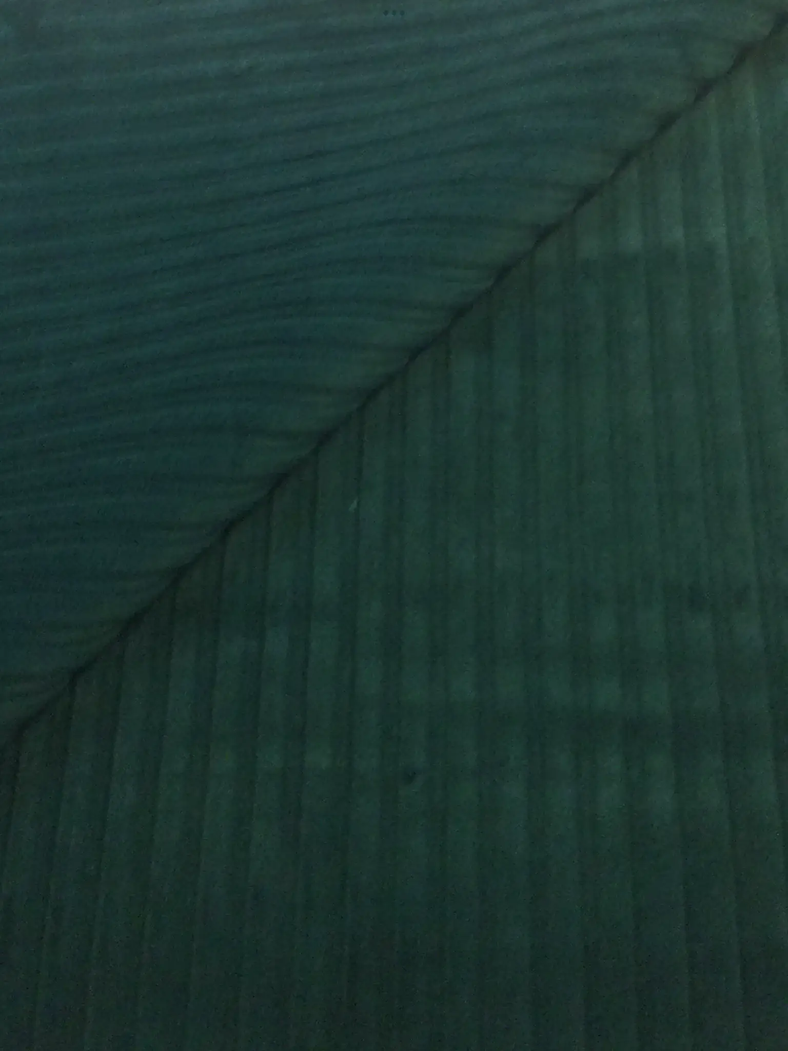 Made in Italy Wide Wale Corduroy