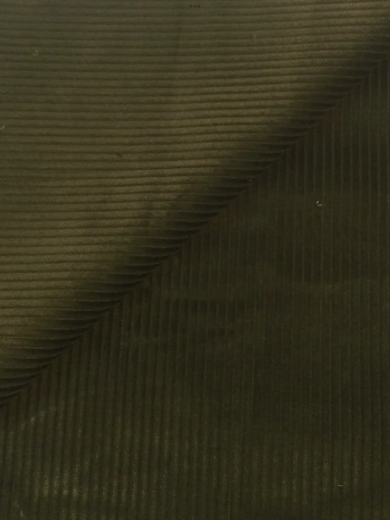 Made in Italy Cotton Corduroy 