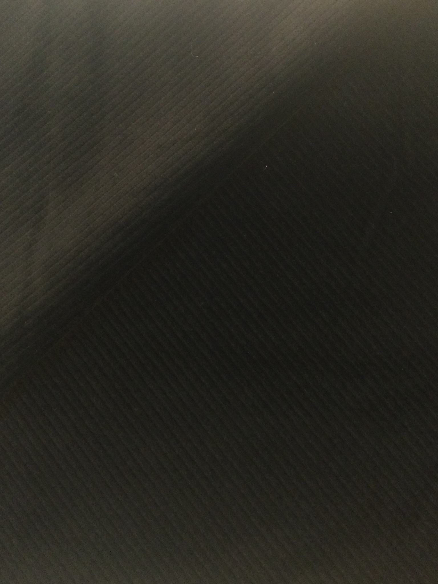 Made in Italy Cotton Velvet in Black Twill