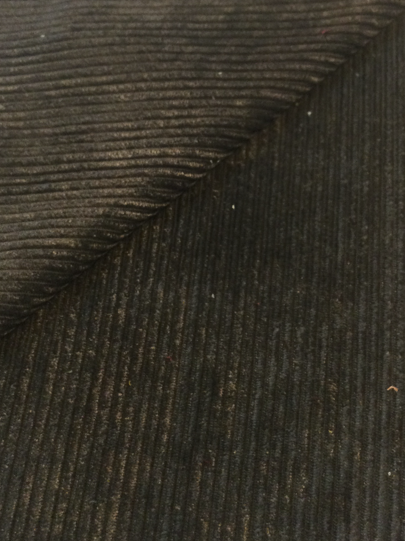 Made in Italy Wide Wale Corduroy