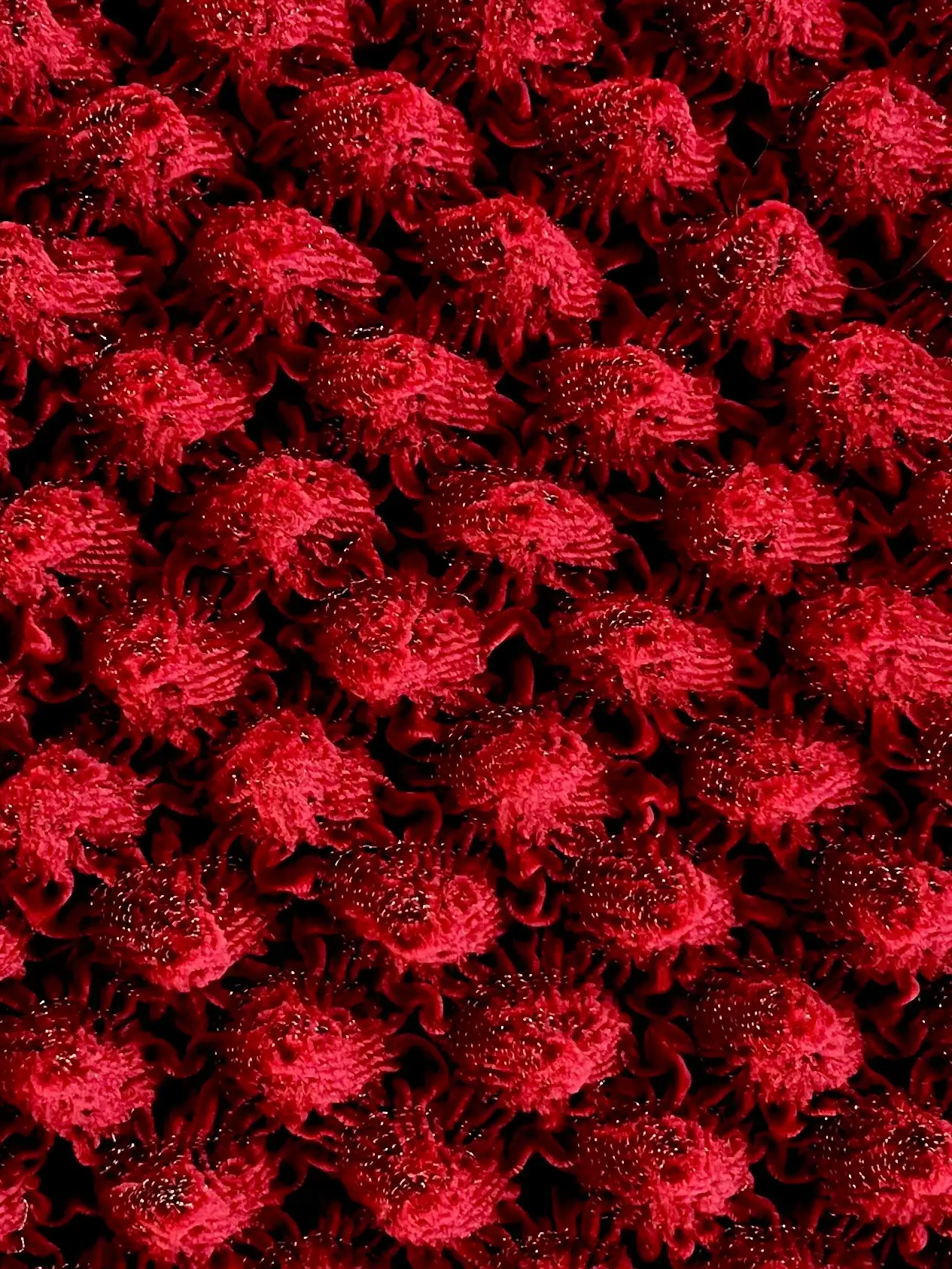 French Novelty Dimensional Cone Shaped Iridescent Velvet in Rouge Red Green