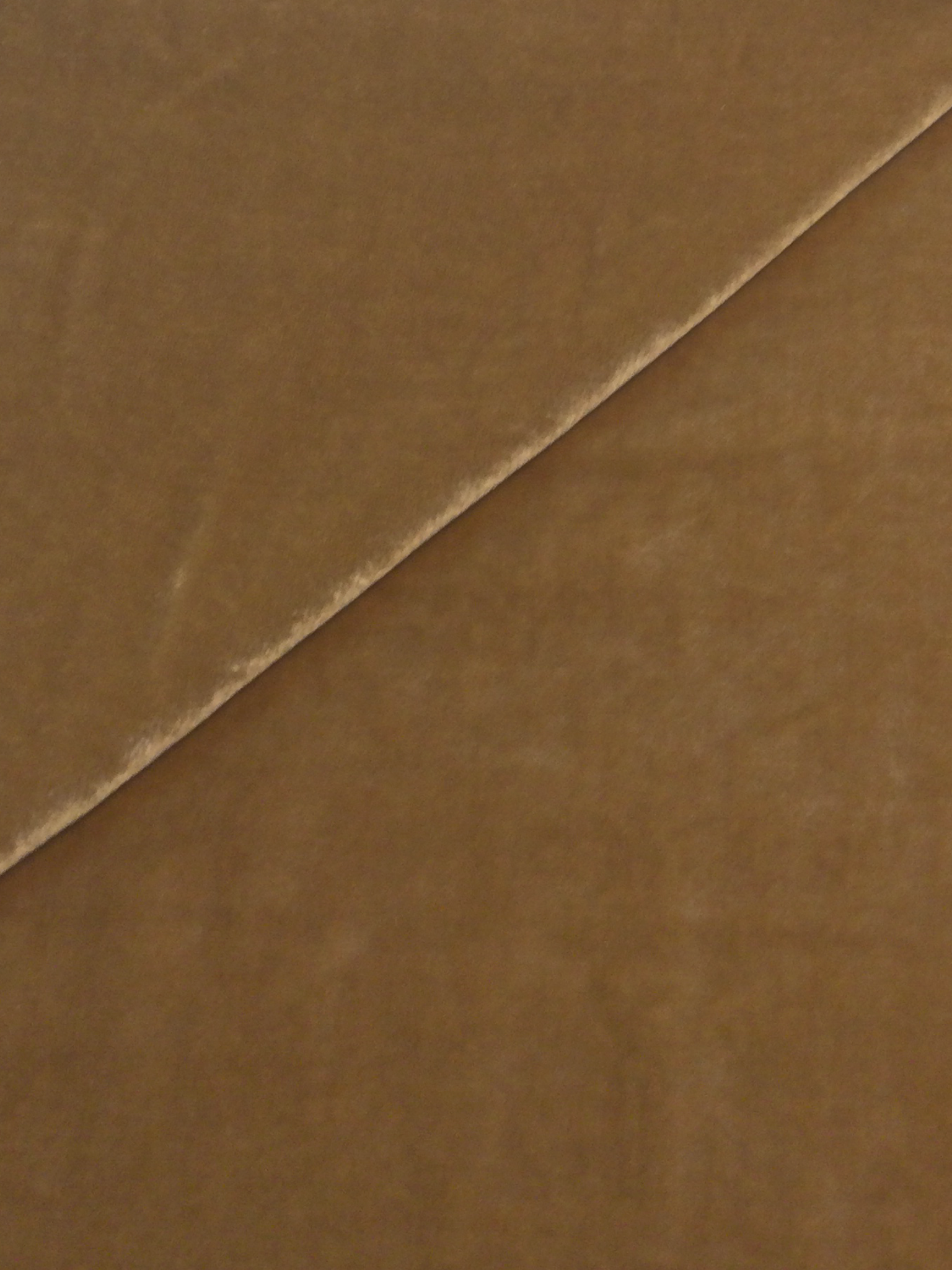 Silk Rayon Velvet in Tan