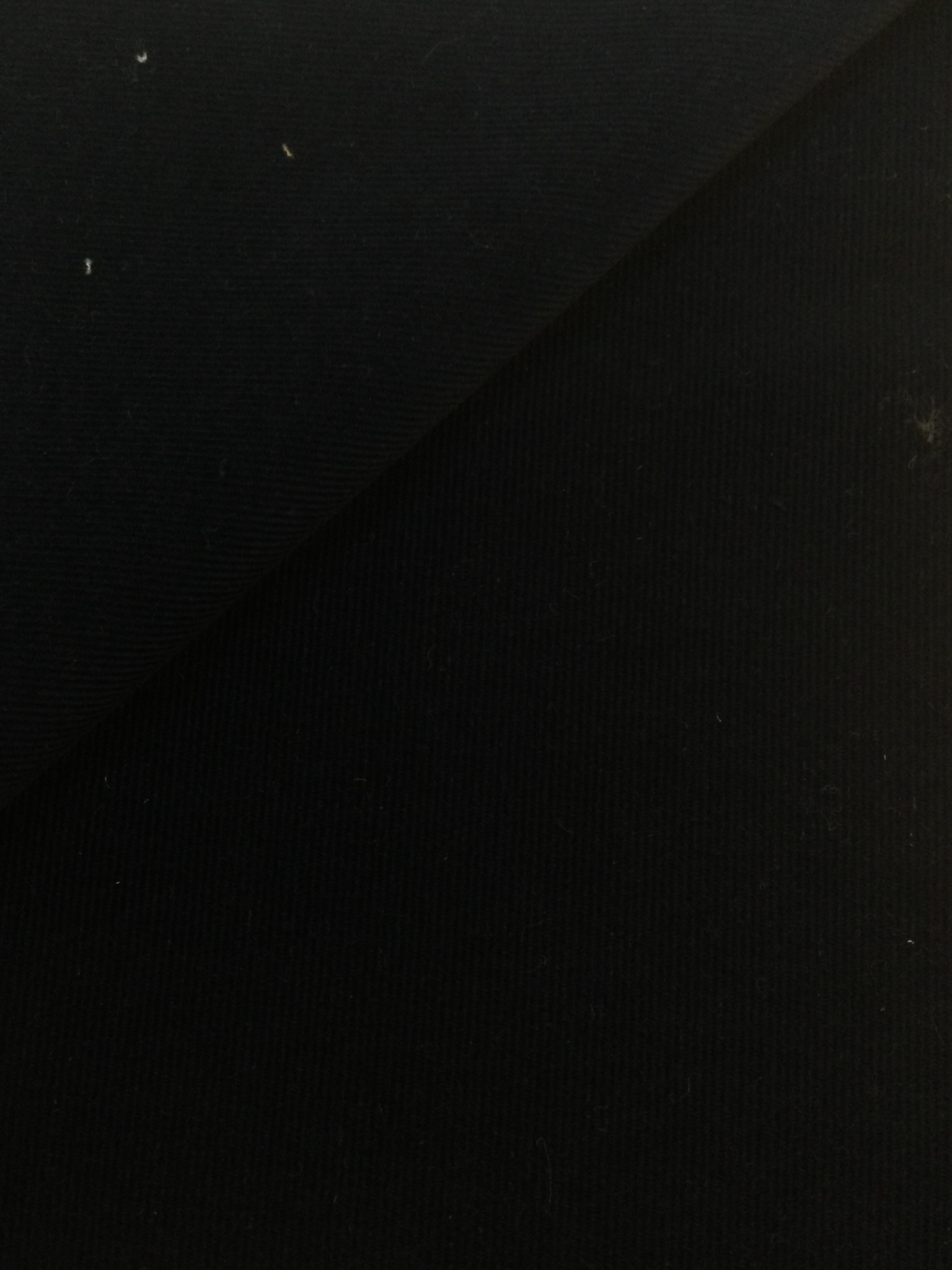 Made in Italy Cotton Corduroy in Night Sky