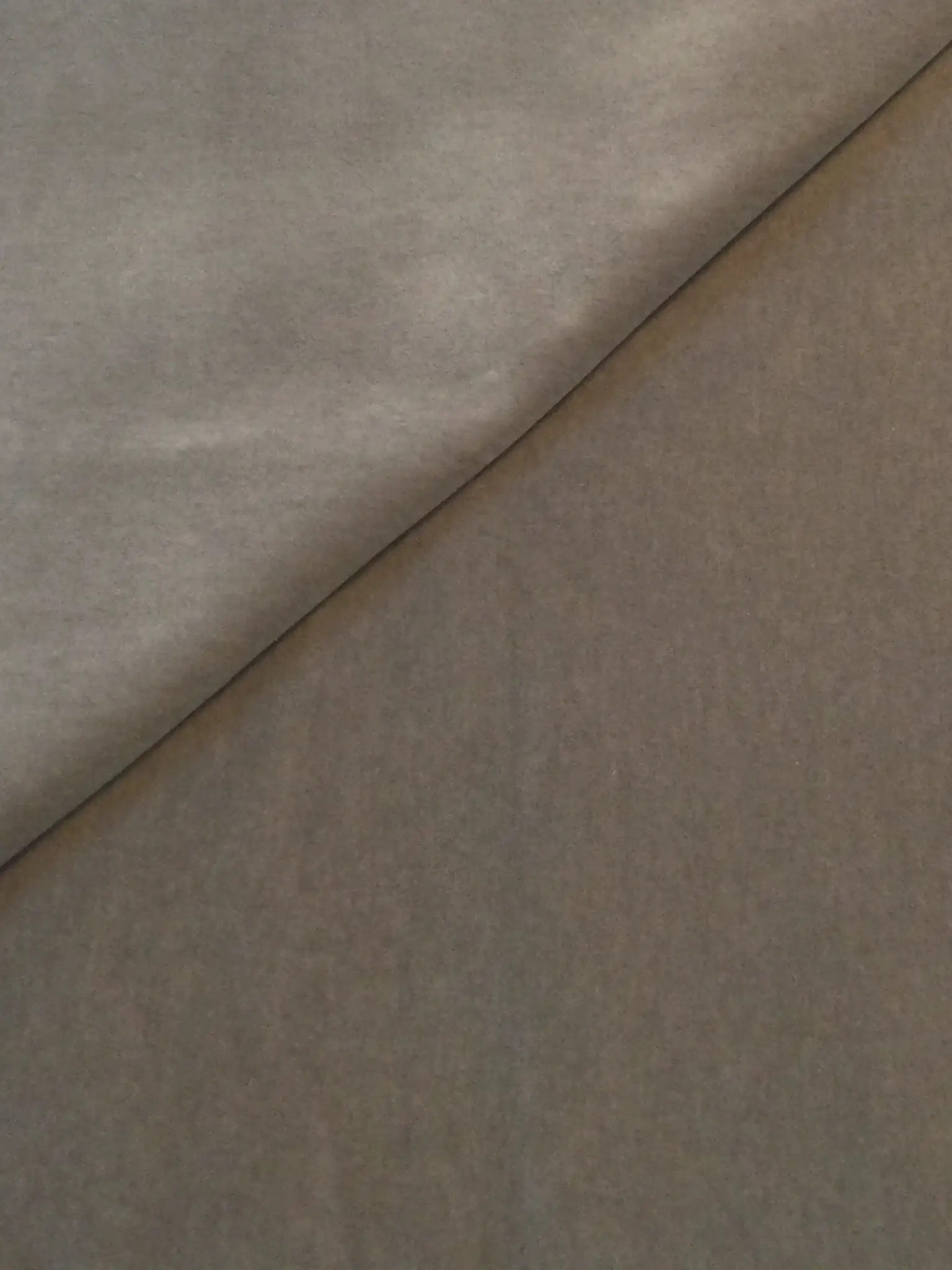 Made in Italy Cotton Velvet in Beige Mist