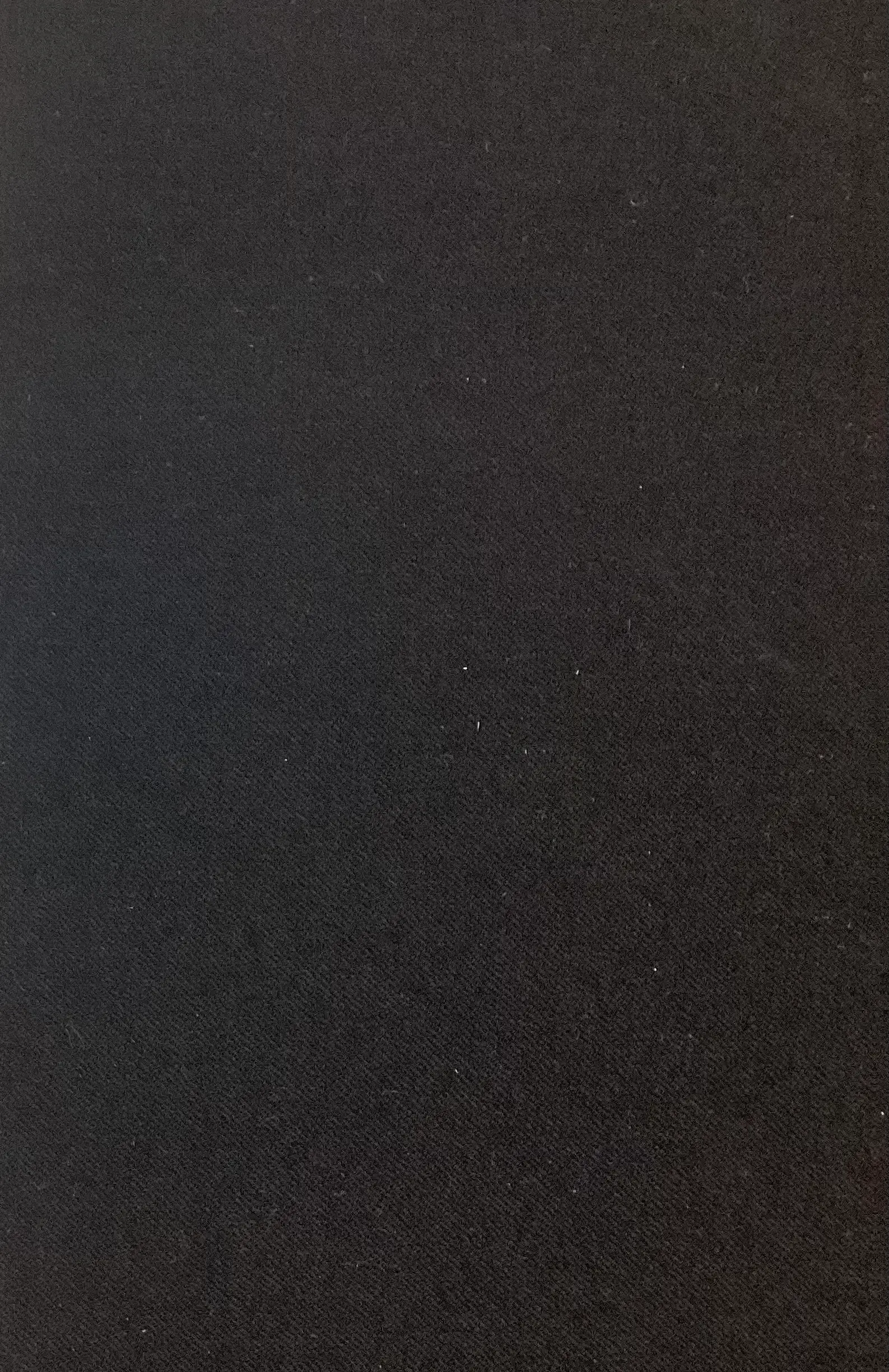 100% Wool Flannel In Onyx