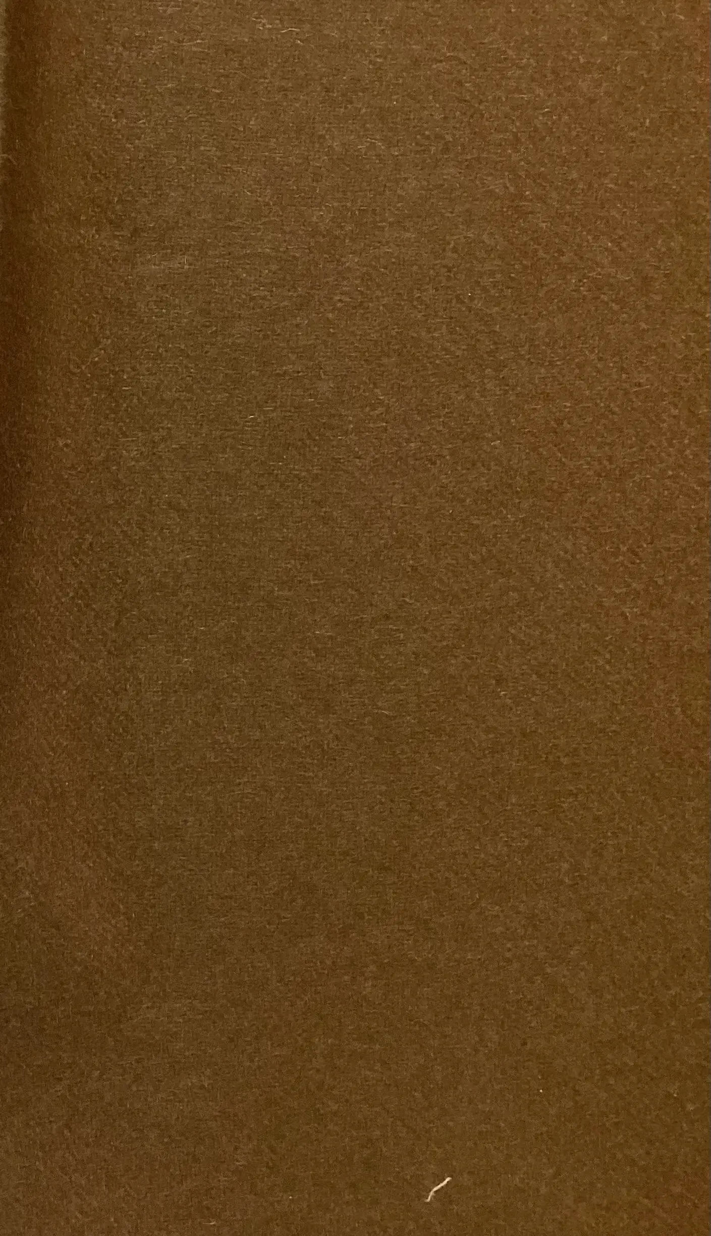 Cashmere Suiting In Cigar