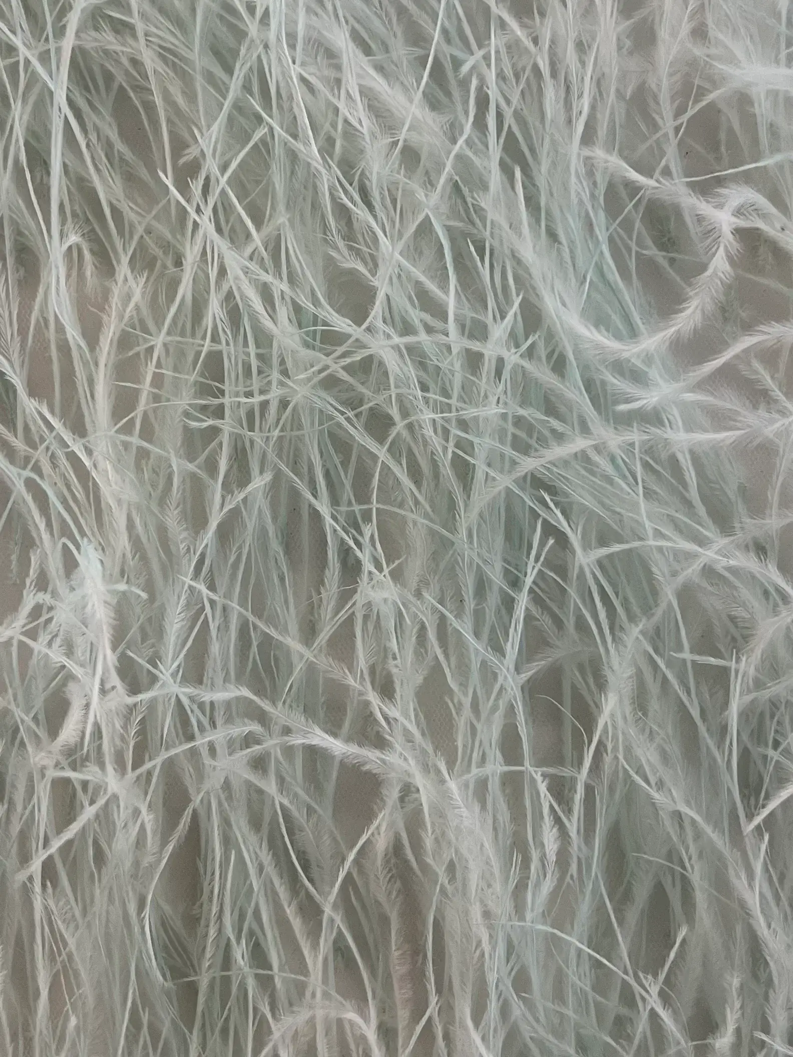Hand Applied Ostrich Feather in Iced Mint
