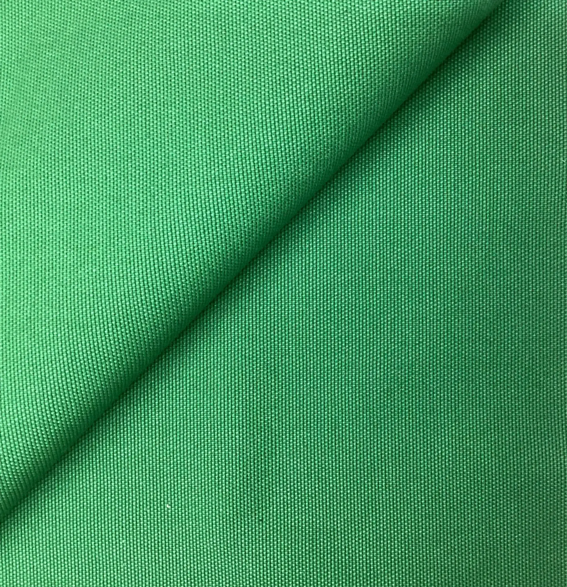 Made in Italy Brushed Cotton Upholstery Canvas in Leaf