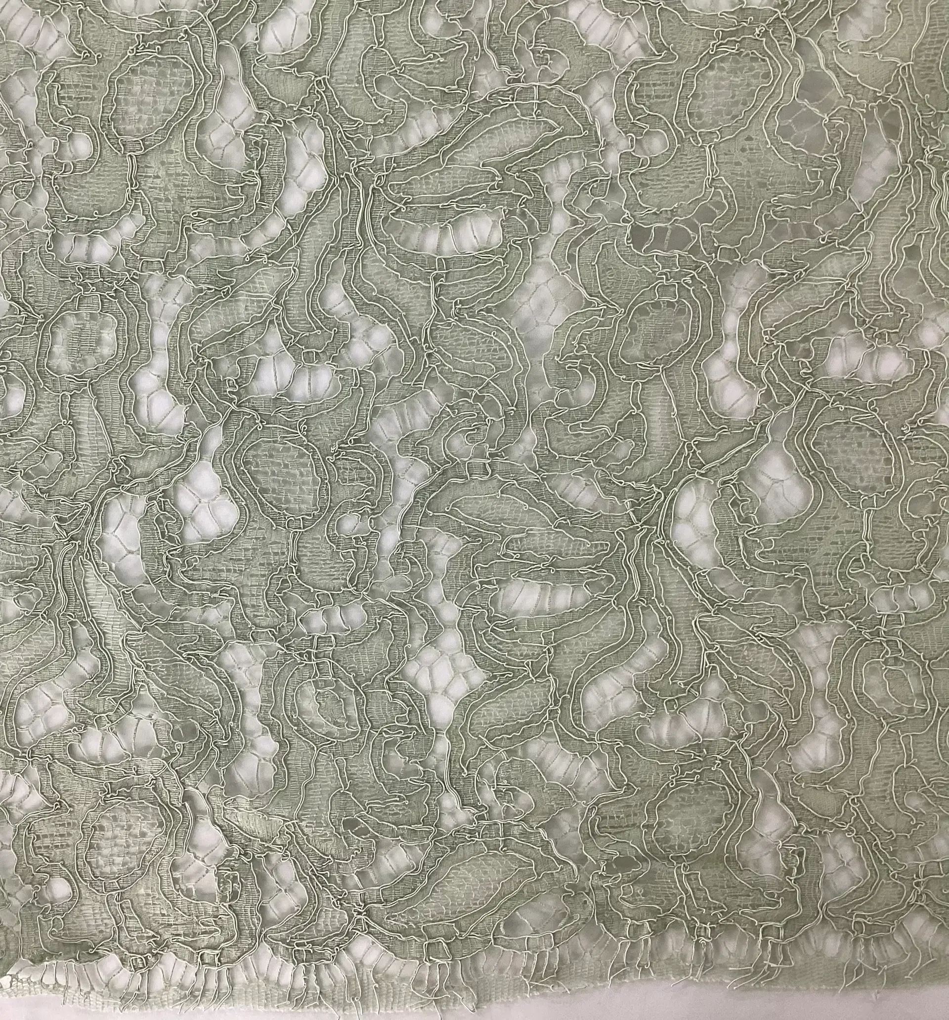Corded Chantilly Lace in Sage