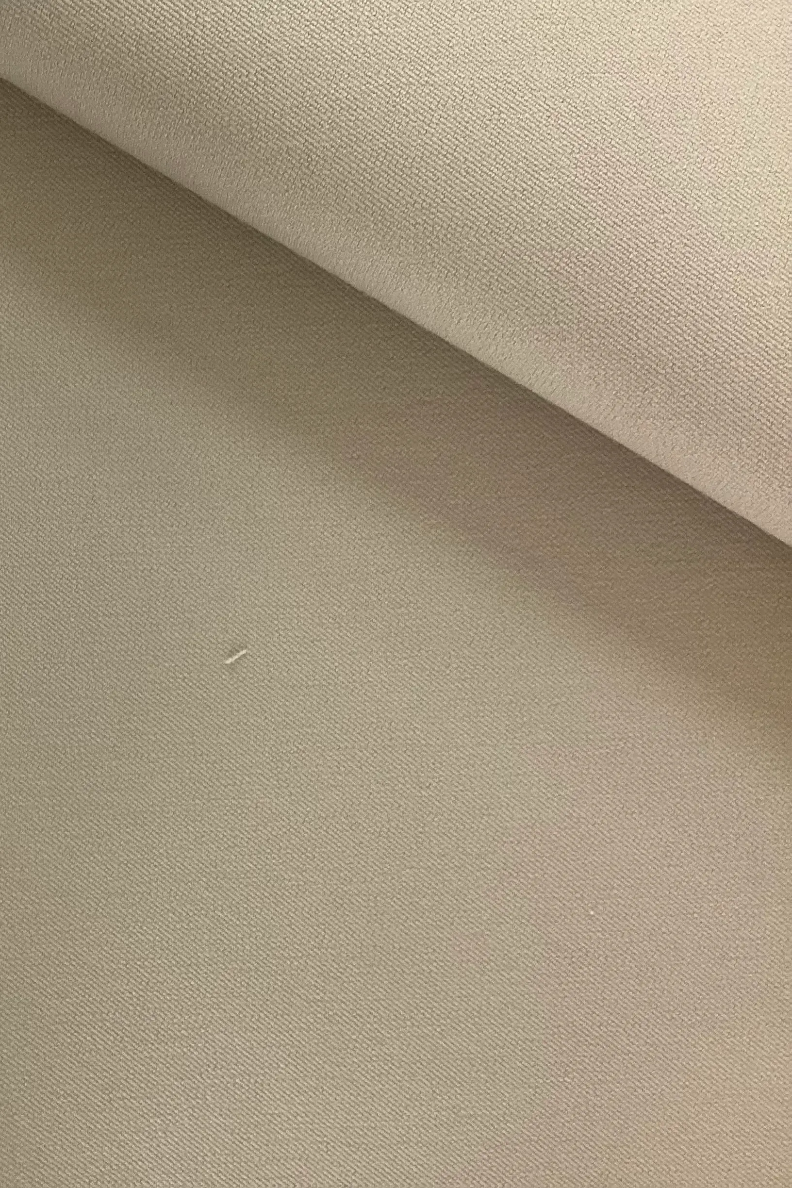 Cotton Lycra Bi-Stretch In Stone