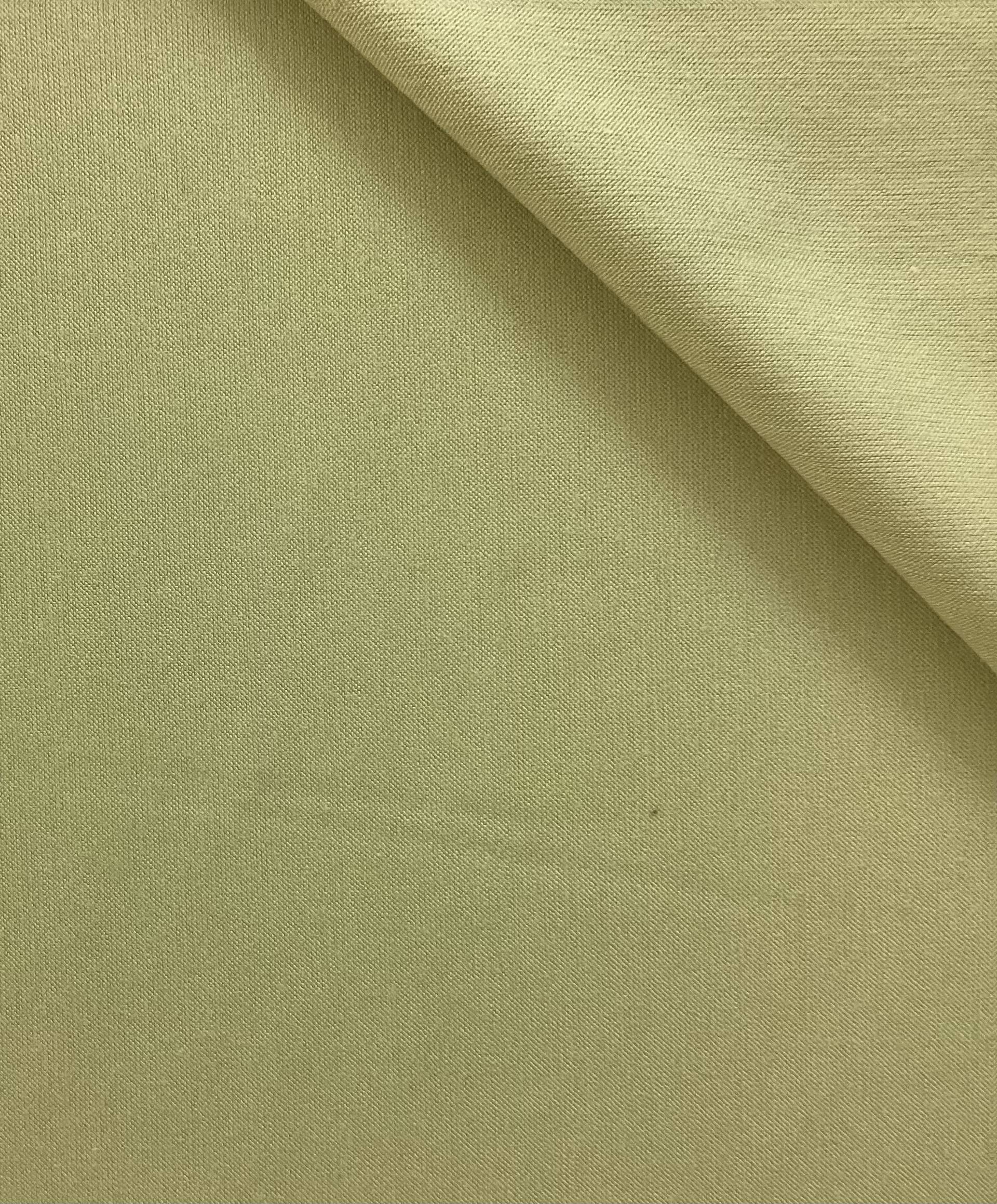 Rayon Lycra Jersey Knit in Pear