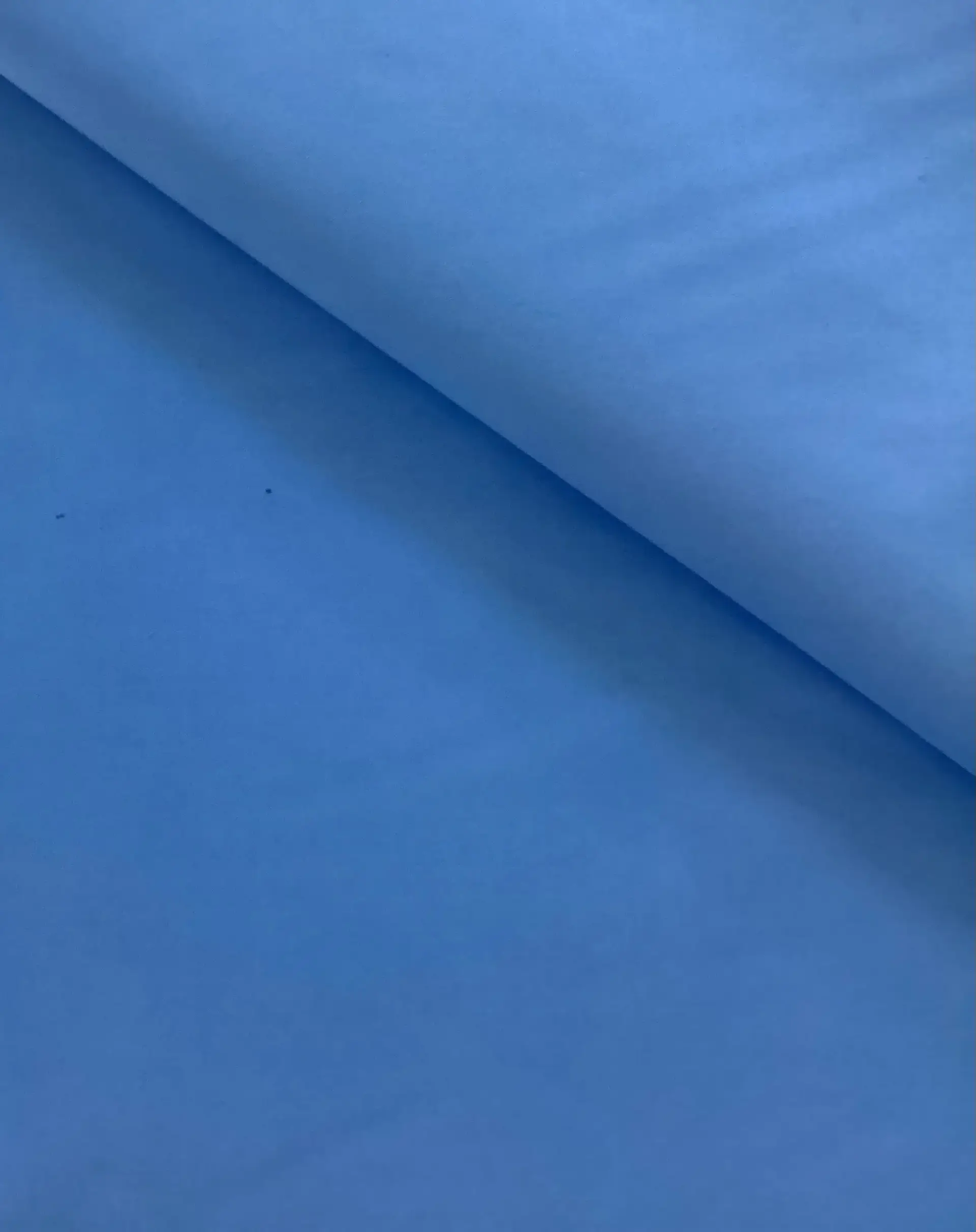 Cotton Pima Broadcloth in Sky