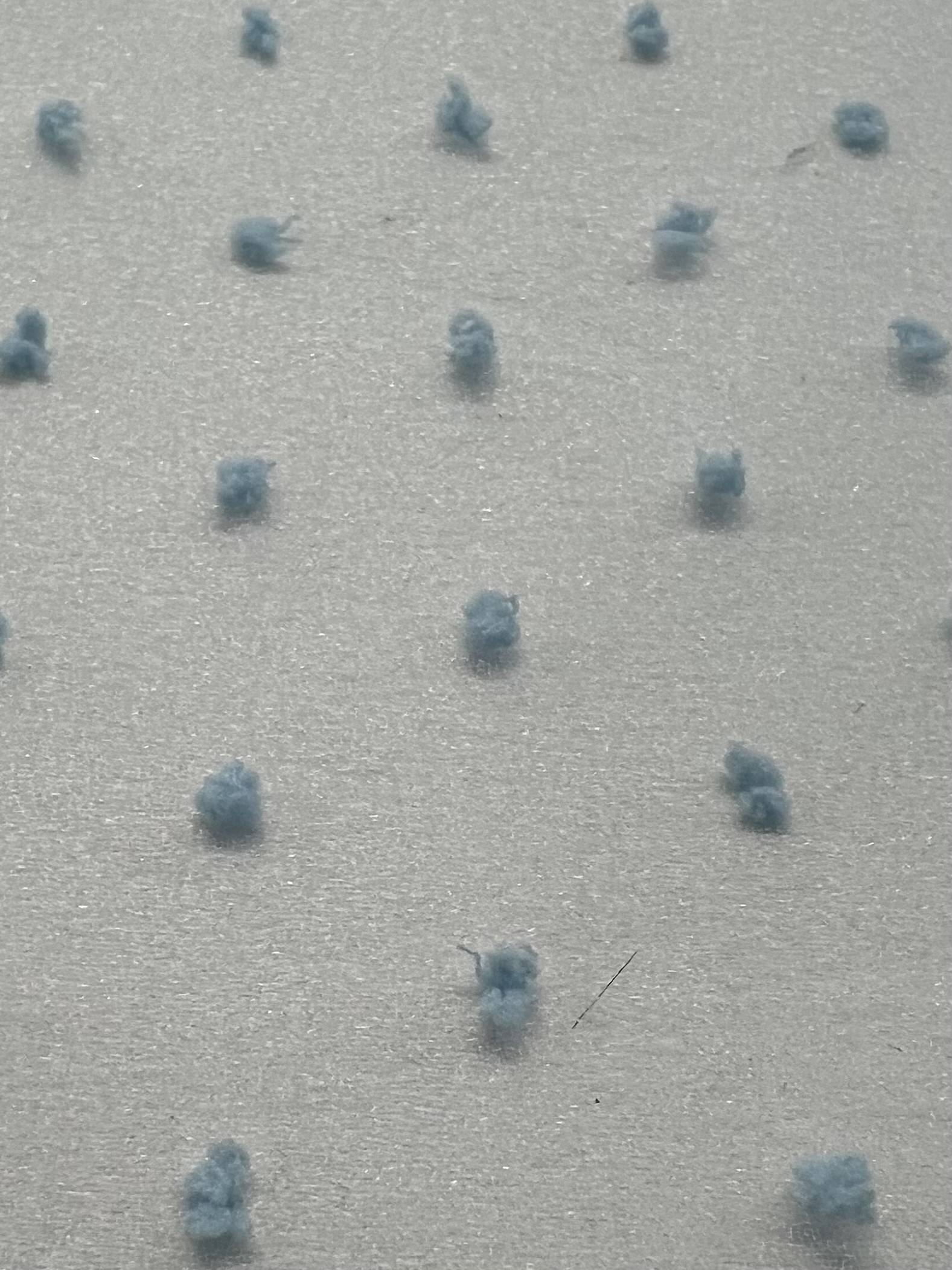 Polyester Swiss Dot Crinkle Organza in Baby Blue