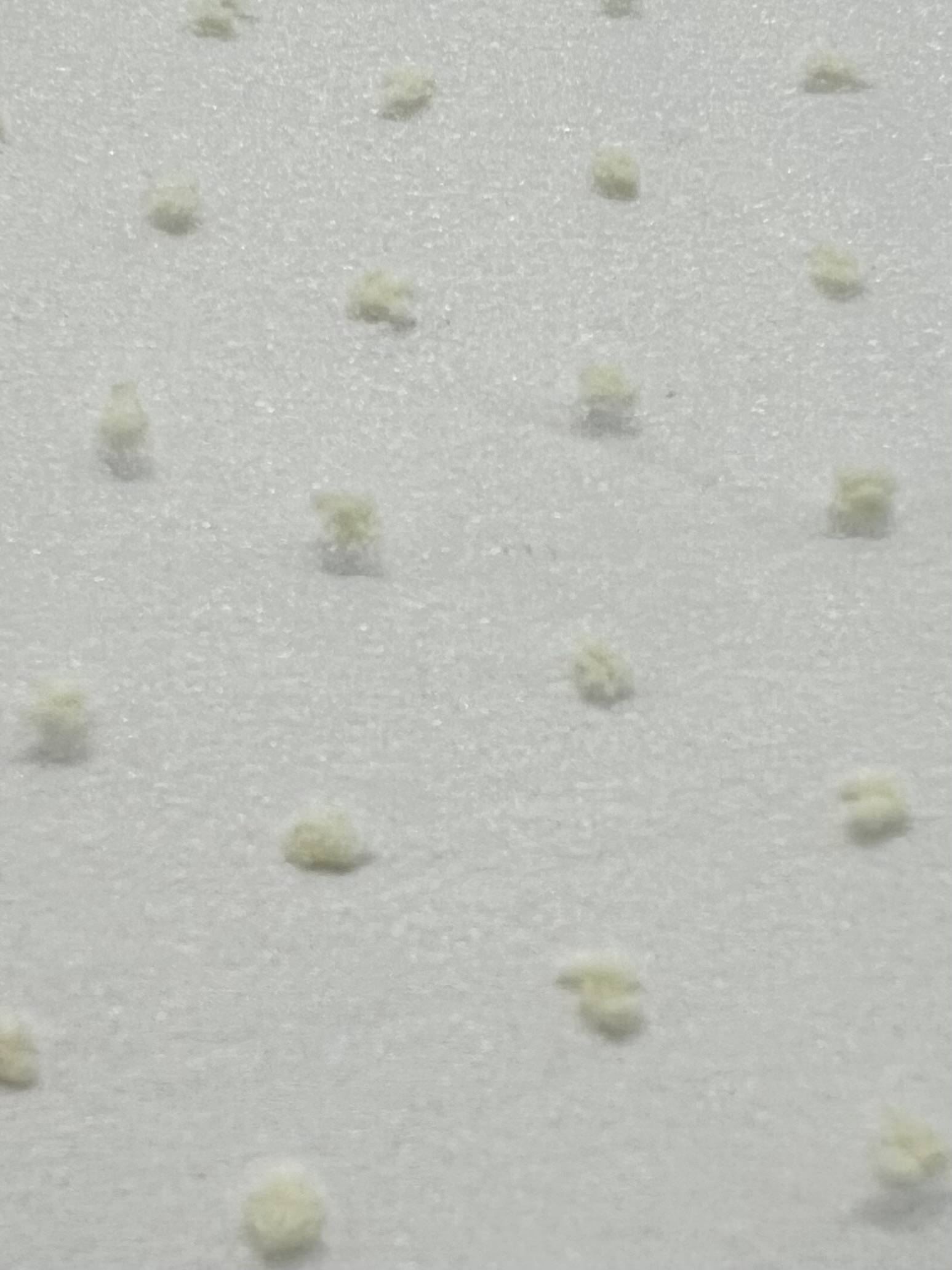 Polyester Swiss Dot Crinkle Organza in Ivory