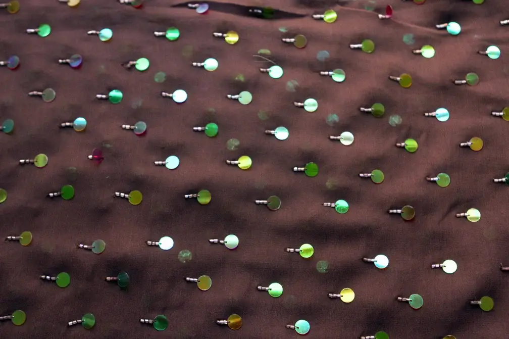 Paillettes on Silk Chiffon0