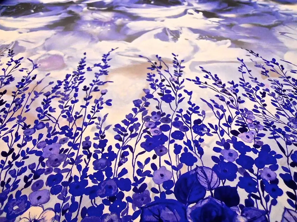 Printed Silk Gazar2