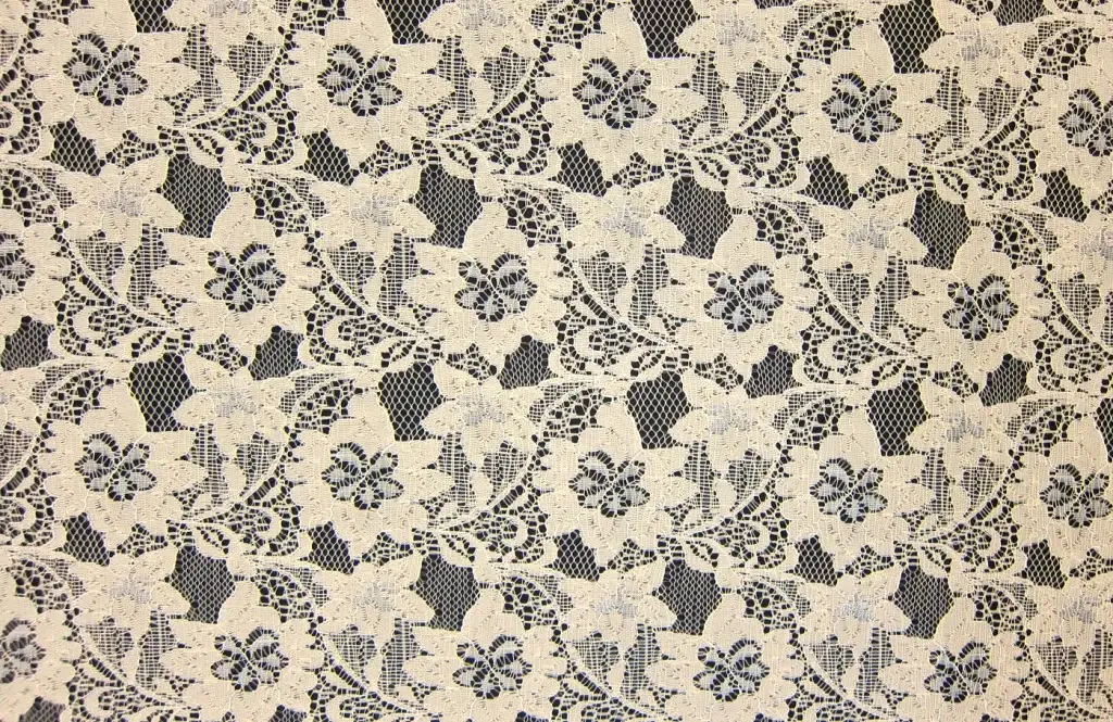 Tafetta Backed Lace0