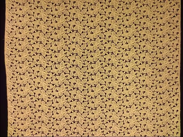Guipure Lace3