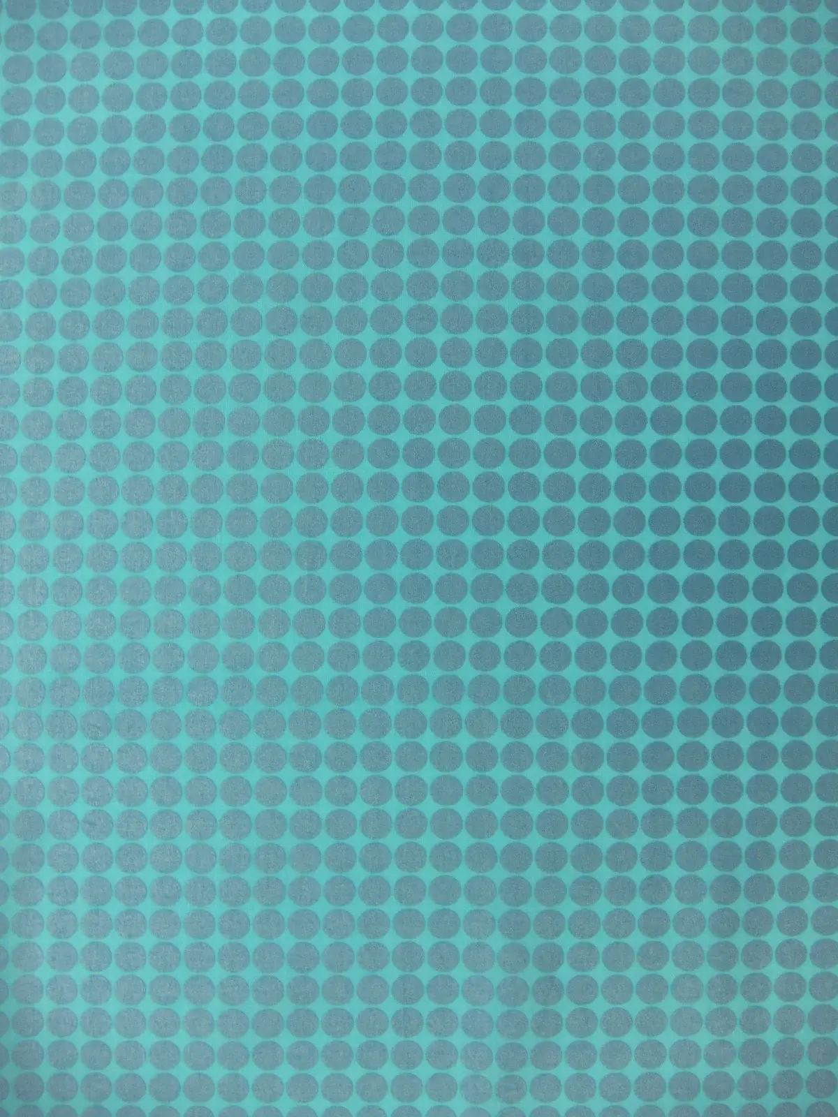 Cotton Broadcloth Print0