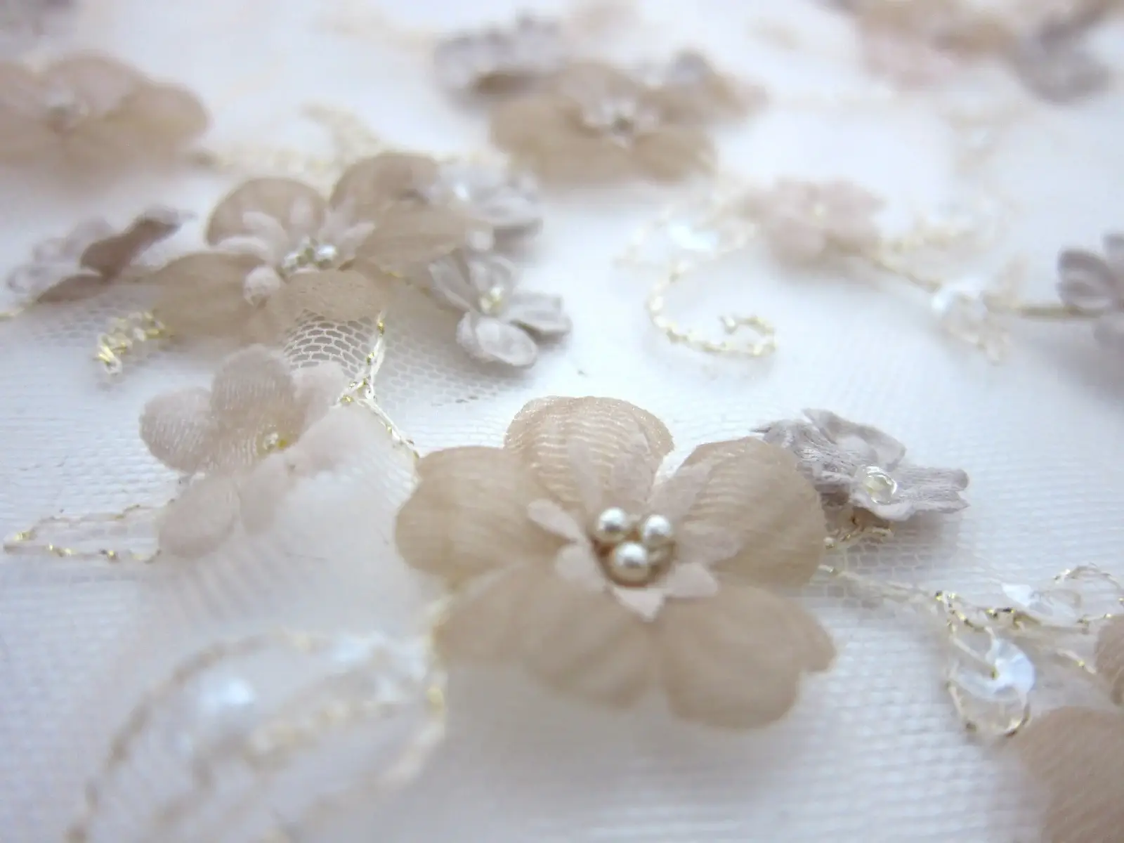Beaded Illusion with Appliqué2