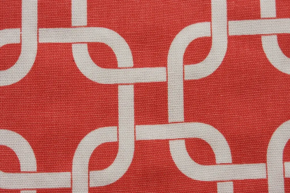 Printed Cotton Canvas2