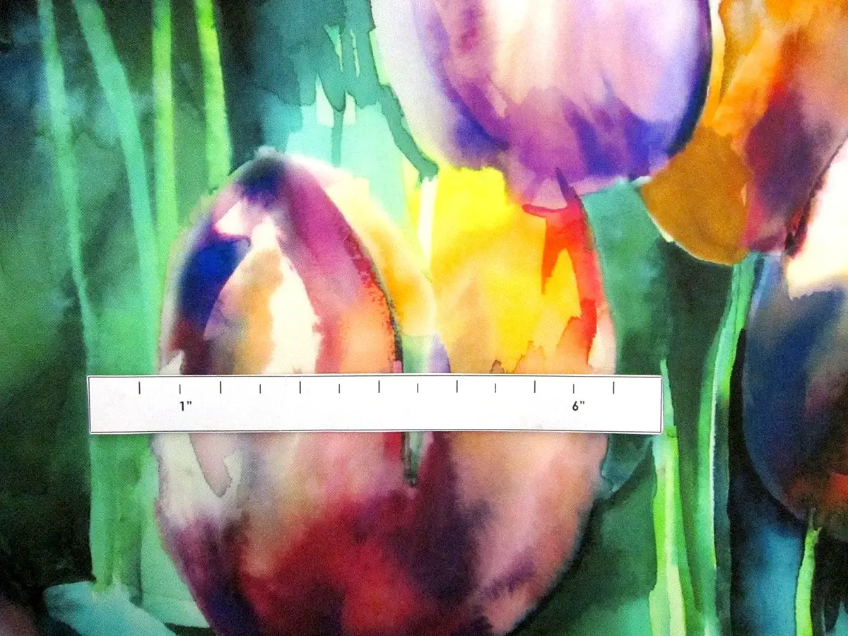 Printed Silk Gazar3