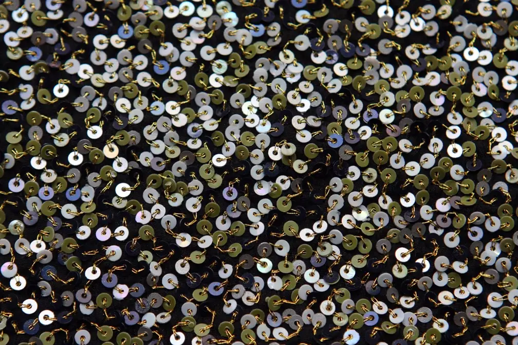 Sequins on Silk Chiffon2