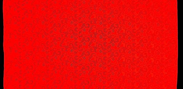 Guipure Lace3