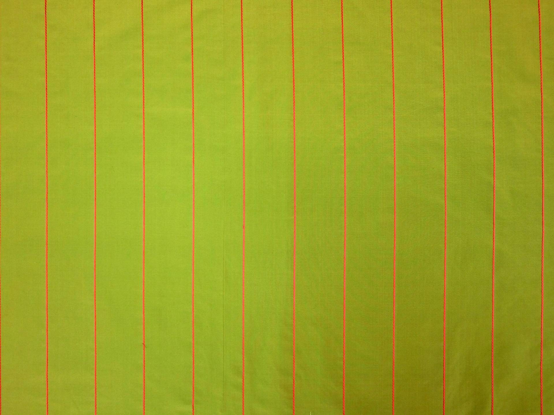 SILK TAFFETA EMBROIDERED STRIPE0