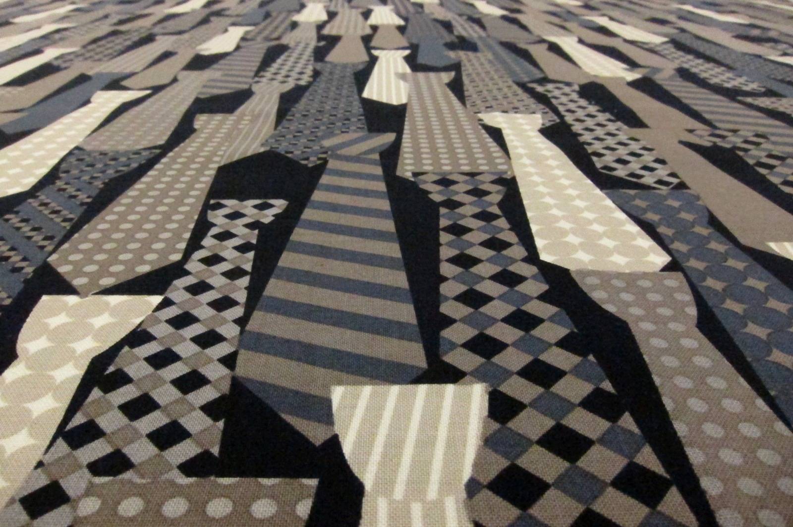 Cotton Broadcloth Print2
