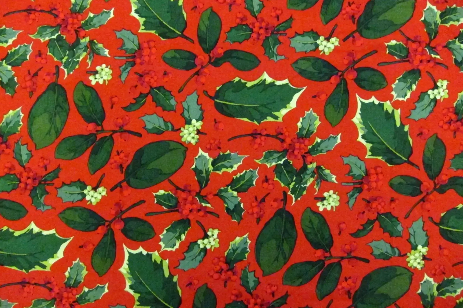 Cotton Broadcloth Print0